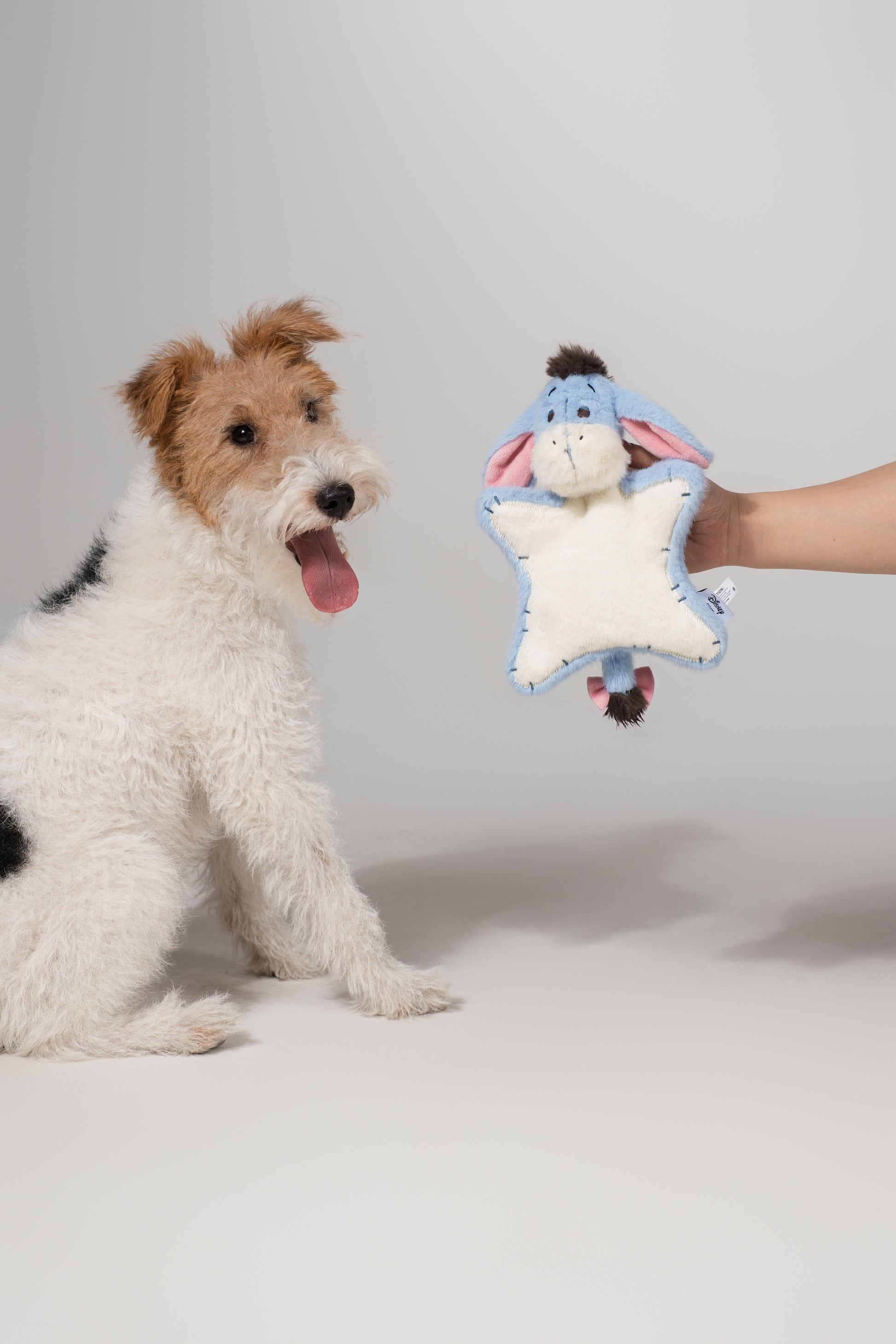 Eeyore Flat Plush – Plush Dog Toy with Crinkle Paper