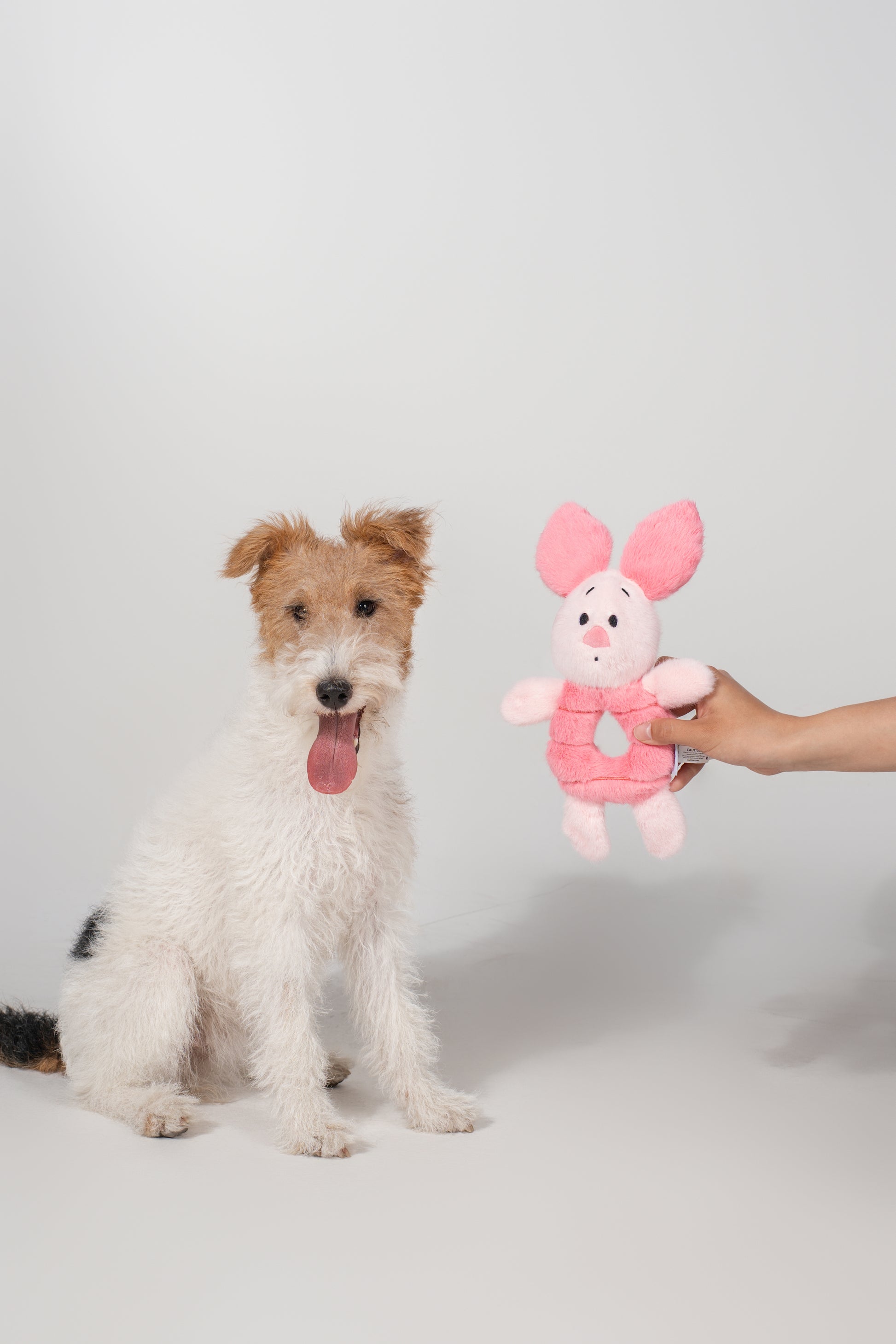 Piglet Ring Tug - Plush Chew Ring | Cute Squeaky Pull Toy for Dogs