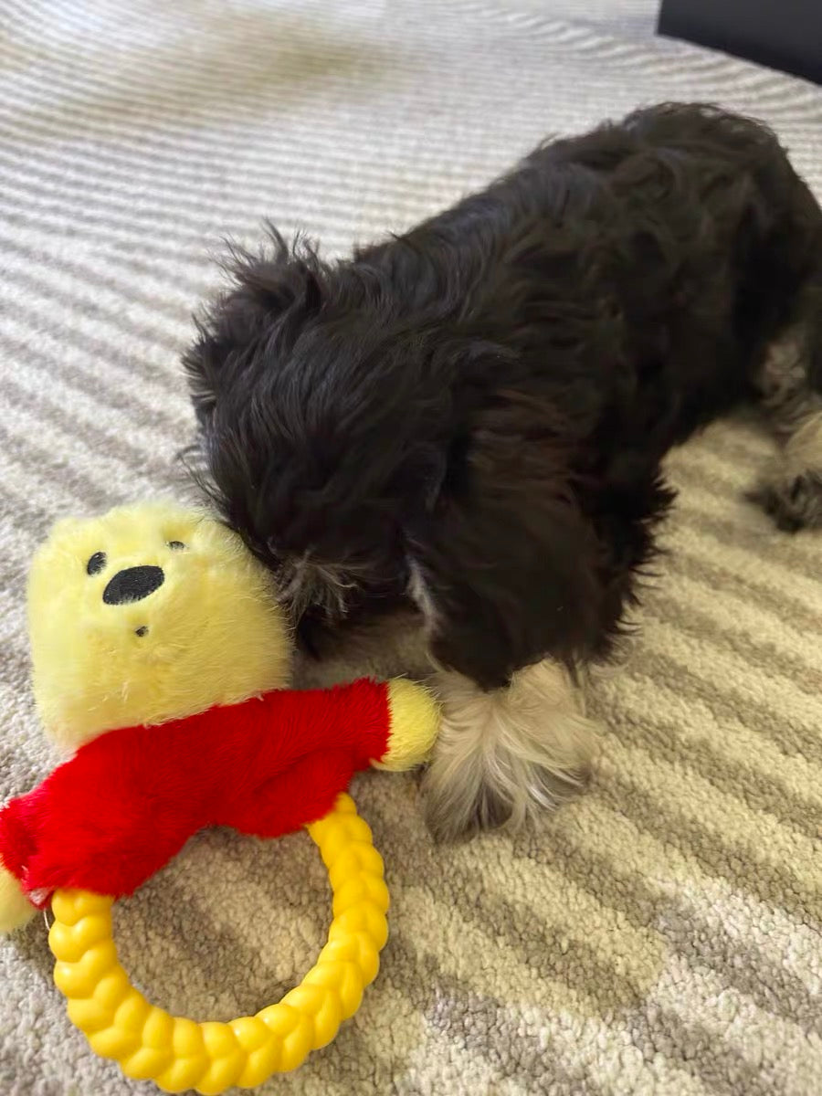 Winnie the Pooh Dog Tug Toy – Plush Chew Ring | Cute Squeaky Pull Toy for Dogs