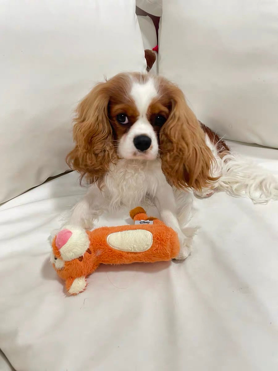 Tigger Squeaky Plush - Cute Squeaky Toy for Dogs