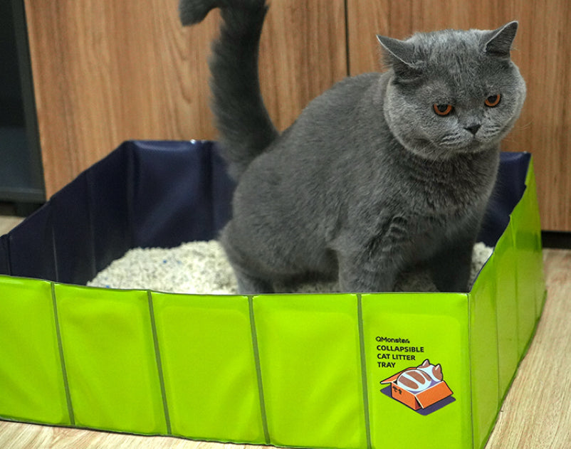Portable Foldable Cat Litter Tray – Leak-Proof, Odor-Resistant & Travel-Friendly 🐾