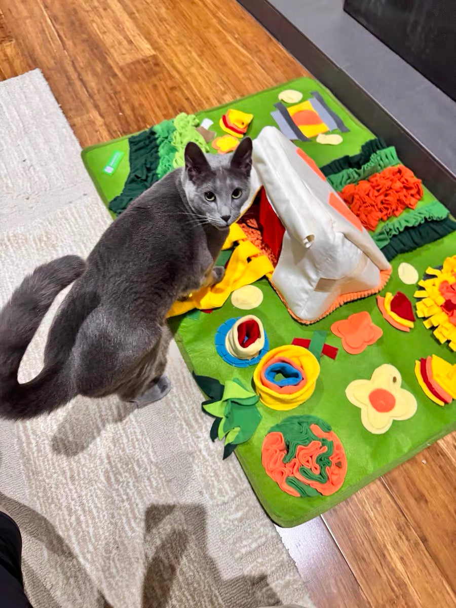 Camping Adventure Snuffle Mat β Large Picnic Enrichment Rug