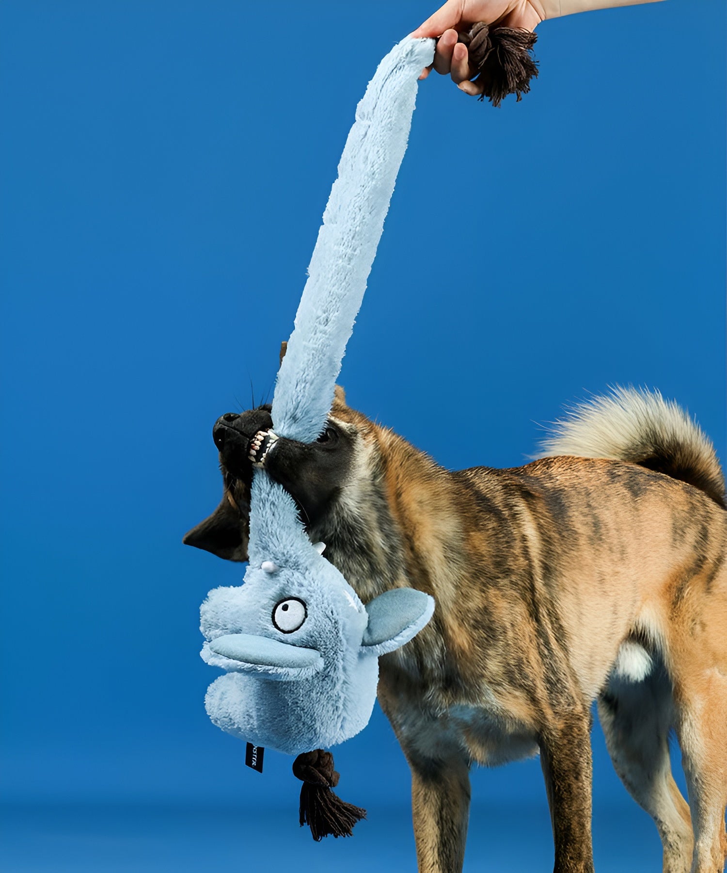 Long-Nosed Elephant Dog Toy – Interactive Plush with Treat Stash & Squeak