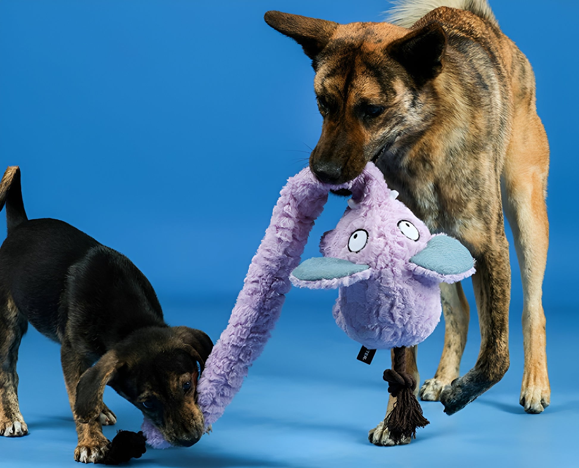 Long-Nosed Elephant Dog Toy – Interactive Plush with Treat Stash & Squeak