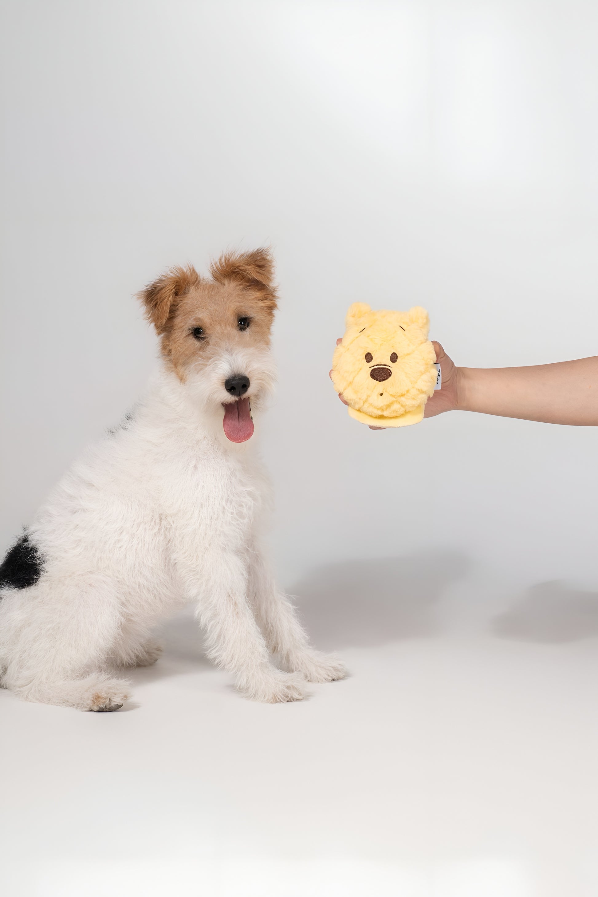 🧸 Winnie Waffle Plush Toy – Sweet, Squishy & Oh-So-Huggable!