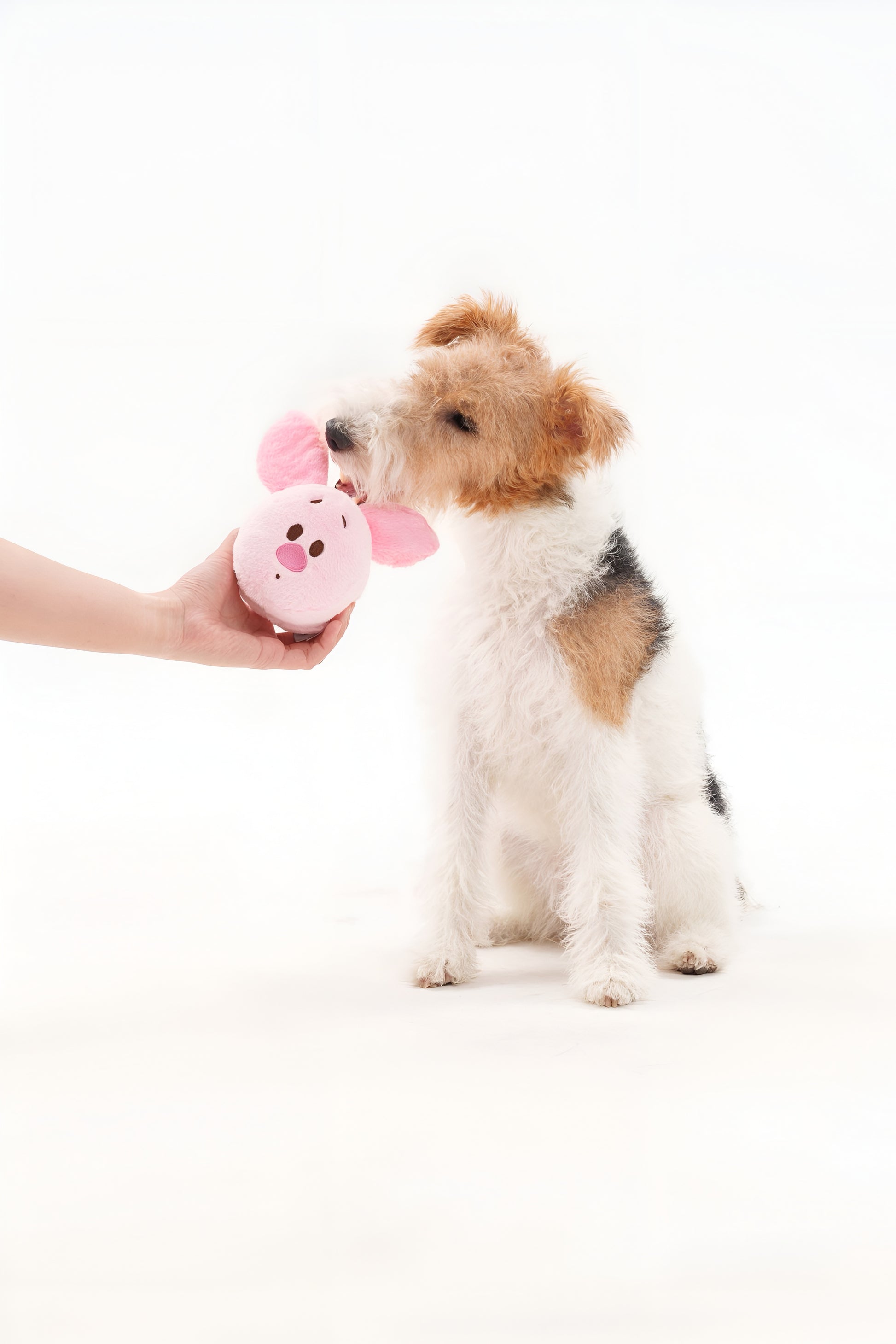 🌸 Piglet Plush Toy – Soft, Sweet & Perfect for Cuddles! 🐾