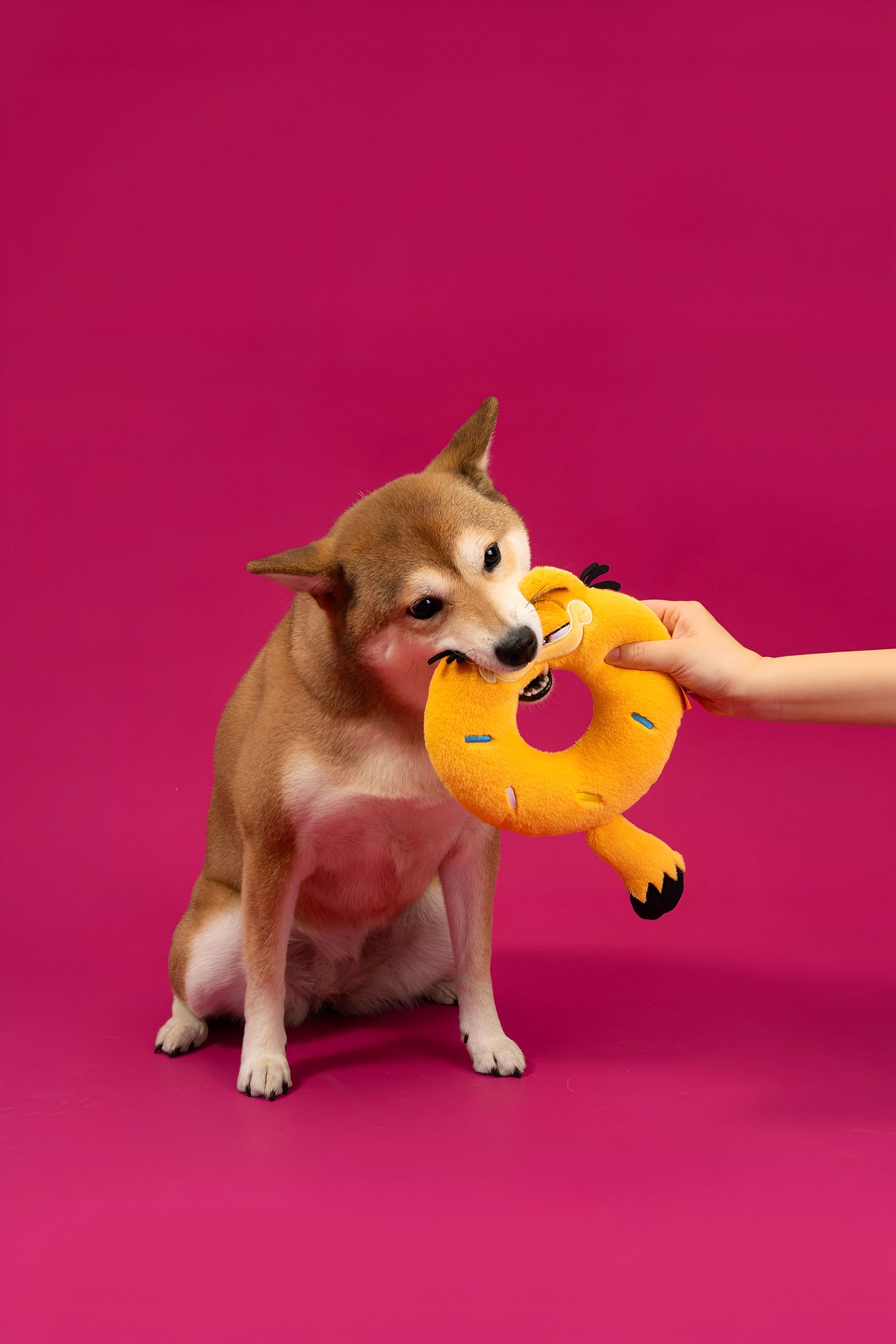 🍩 Garfield Donut Plush Toy – Sweet, Sassy & So Much Fun! 🐾
