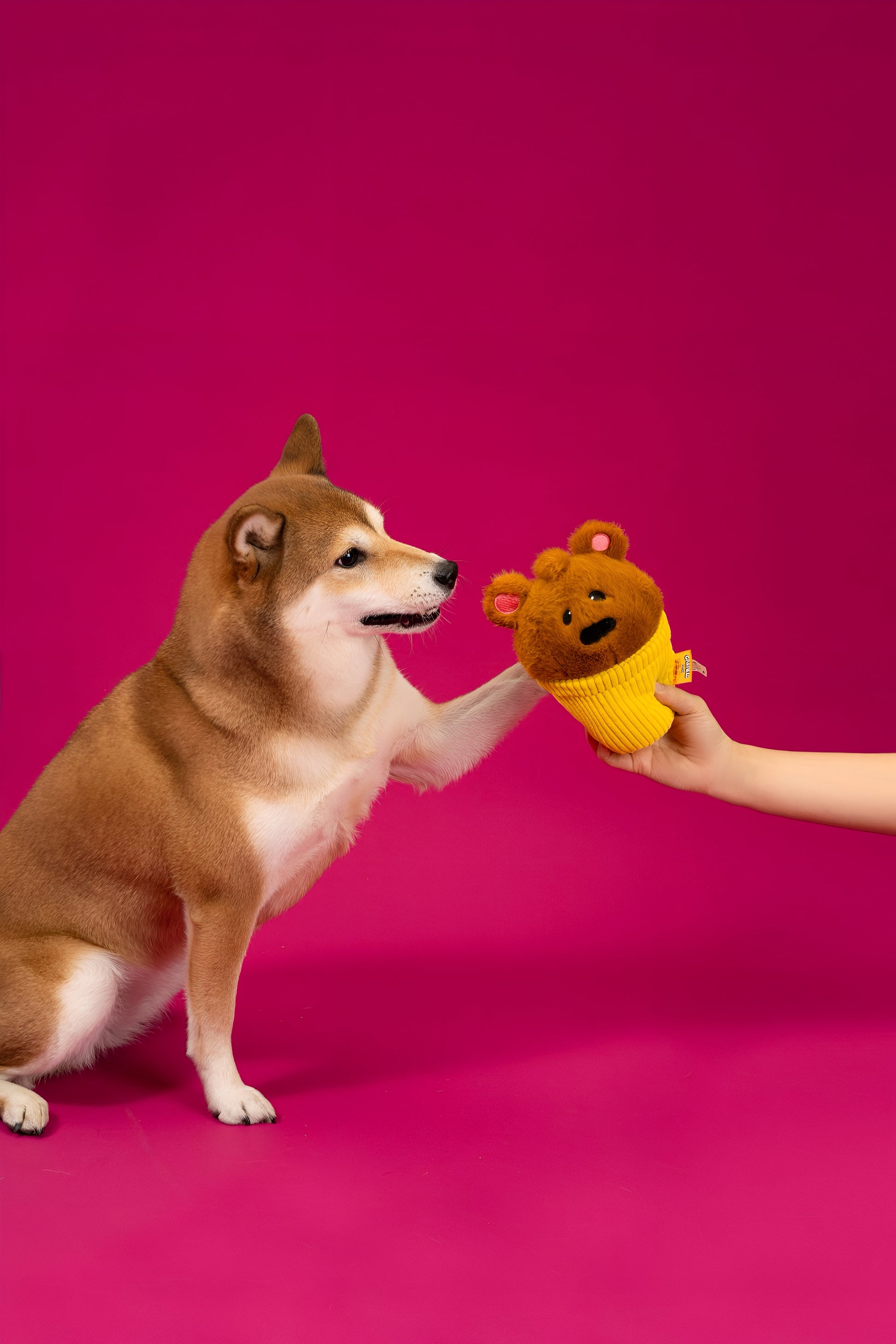 🧁 Pochi Cupcake Plush Toy – Playful, Sweet & Full of Tail Wags! 🐾