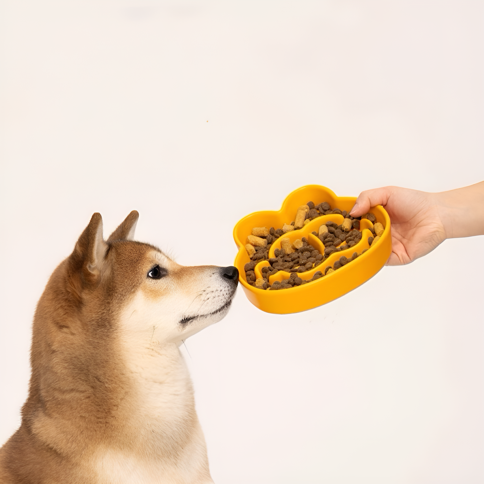 πΎ Garfield Slow Feeder Bowl β Playful Mealtime, Healthier Pets! π½οΈ
