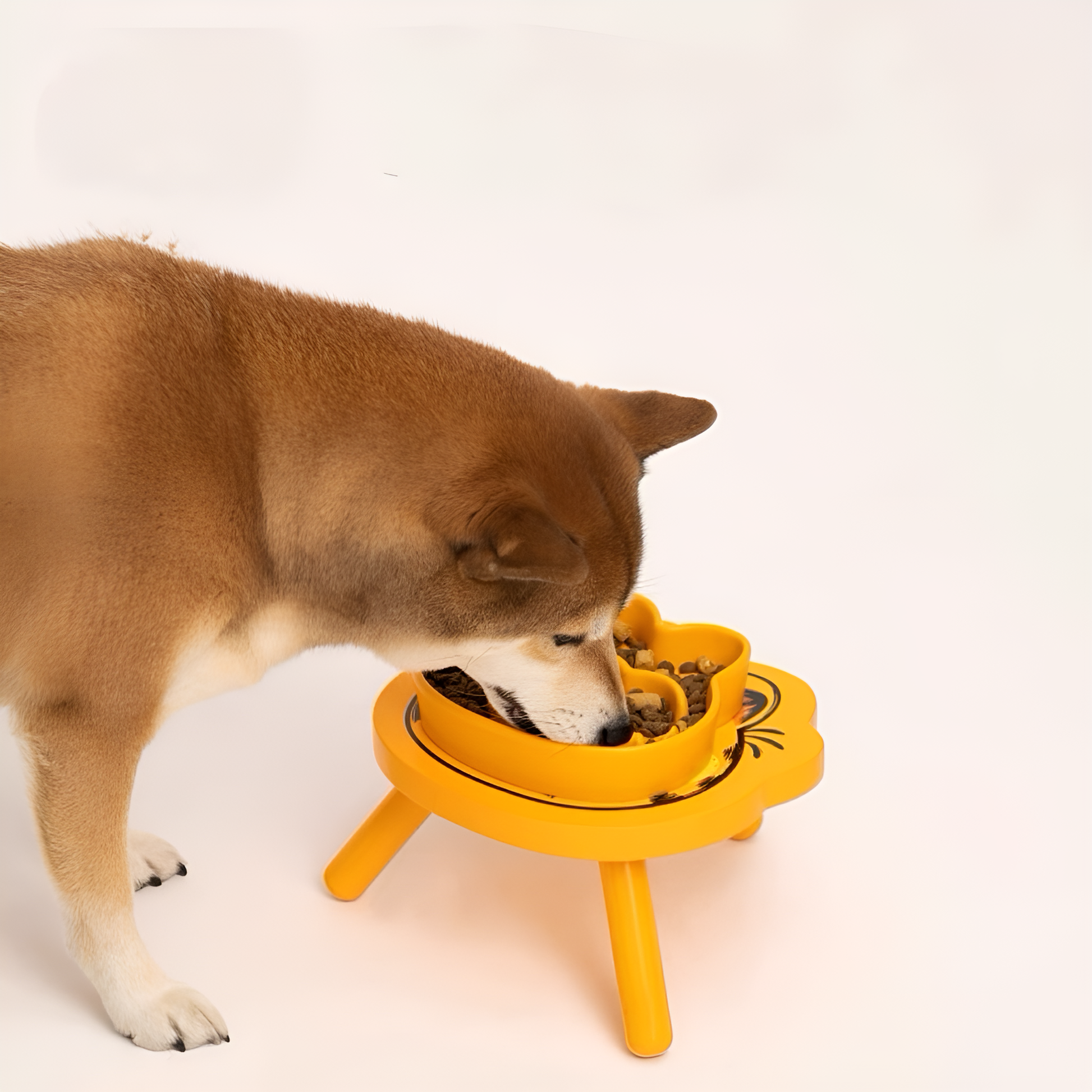 πΎ Garfield Slow Feeder Bowl β Playful Mealtime, Healthier Pets! π½οΈ