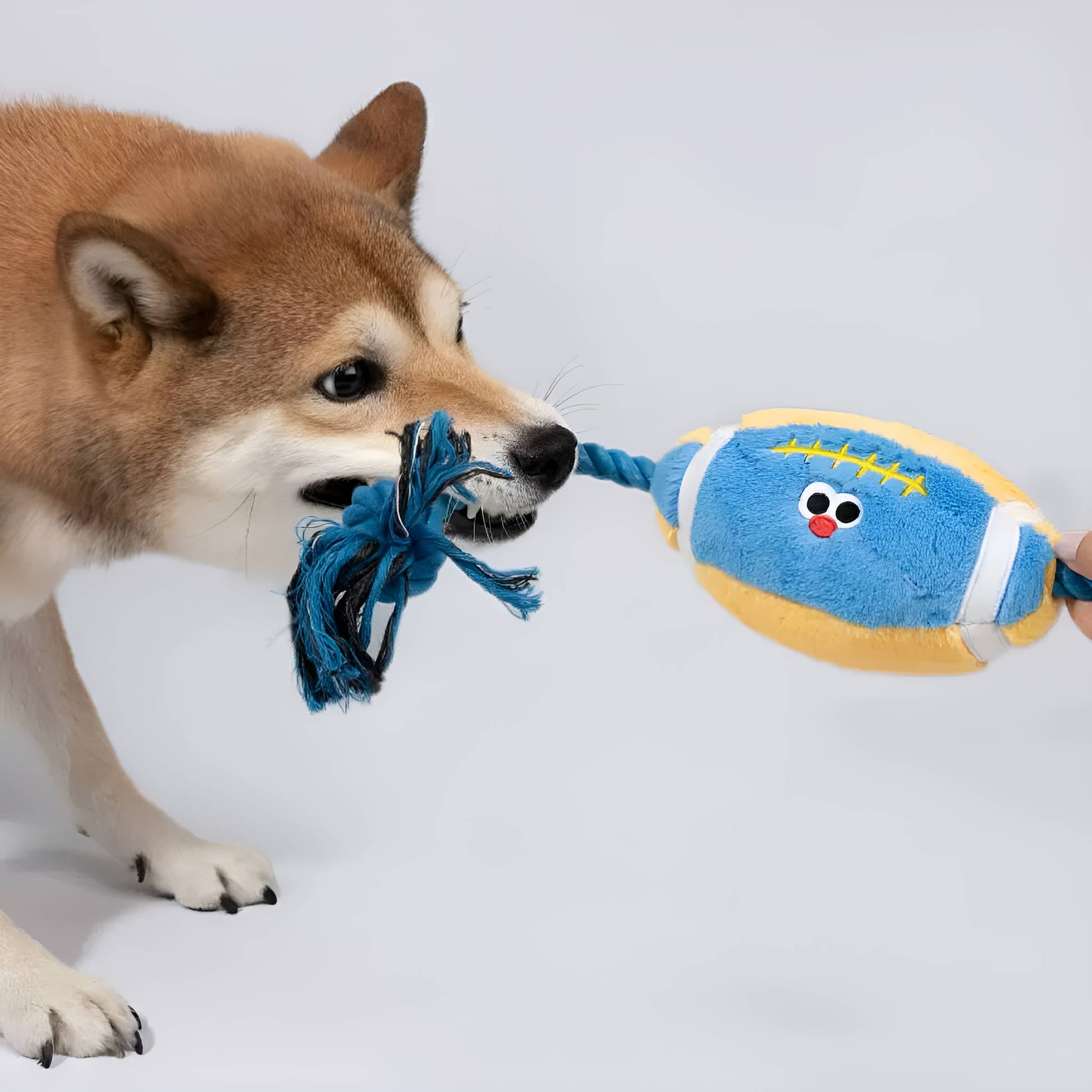 Plush Football Rope Toy