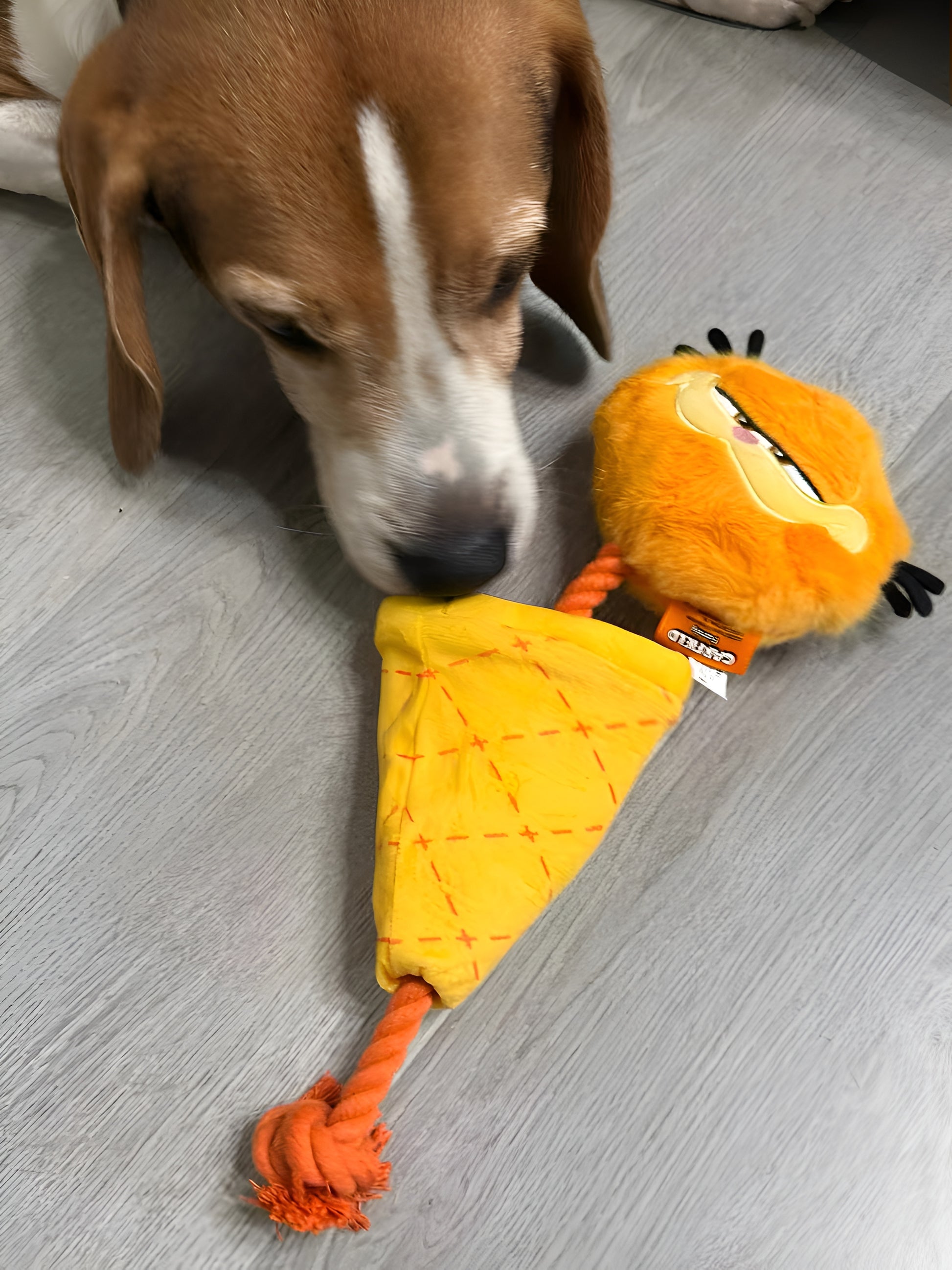 Garfield Ice Cream Cone Dog Toy