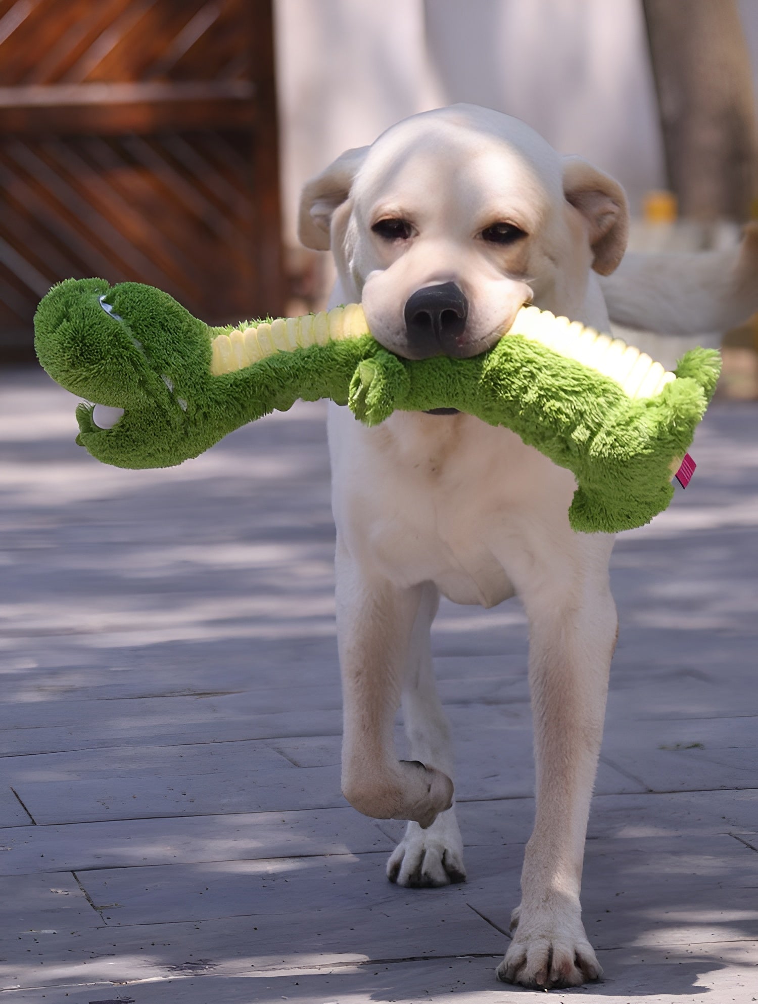 Green Dinosaur Plush Dog Toy – Squeaky, Cuddly & Playful Fun!