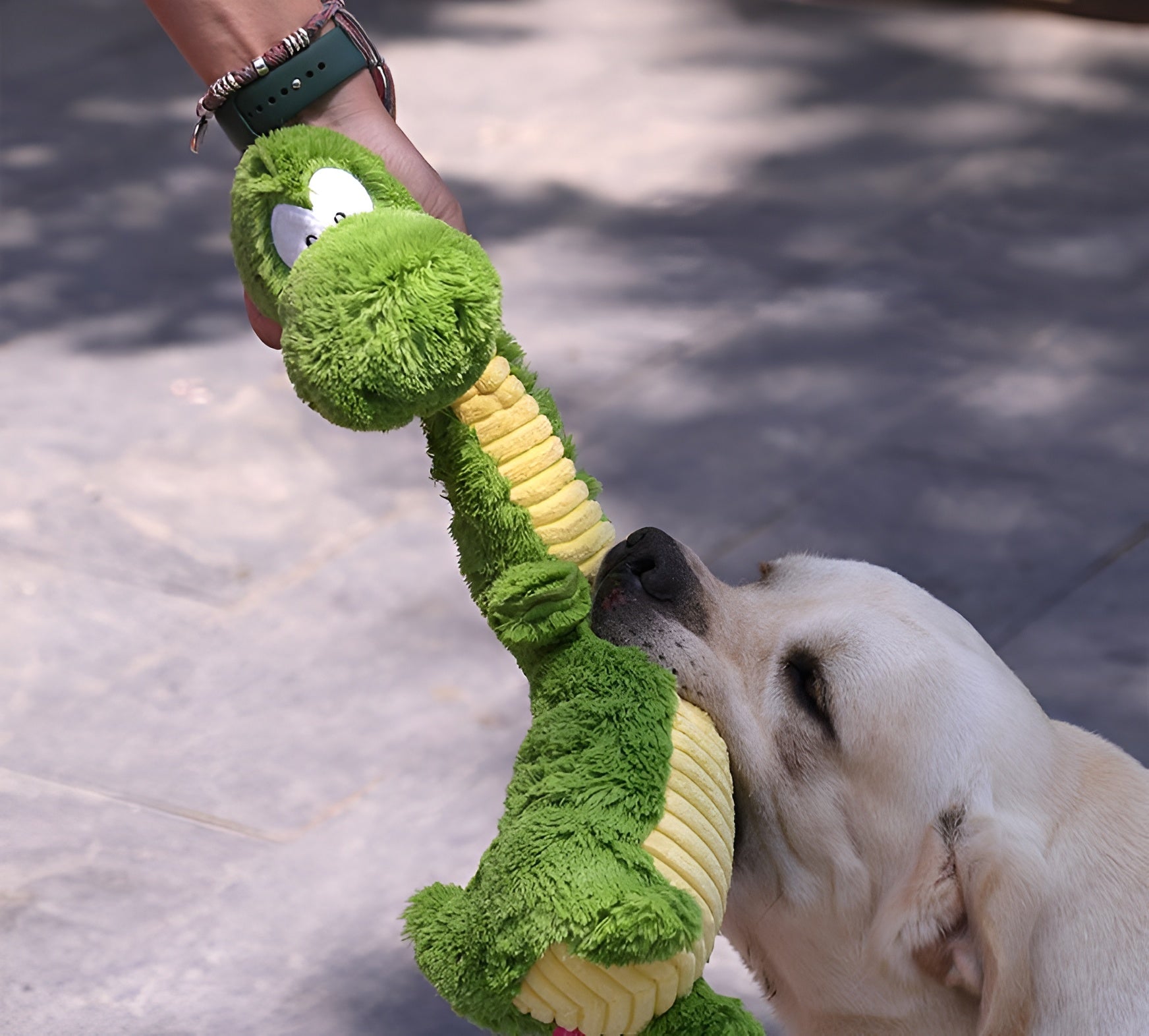 Green Dinosaur Plush Dog Toy – Squeaky, Cuddly & Playful Fun!