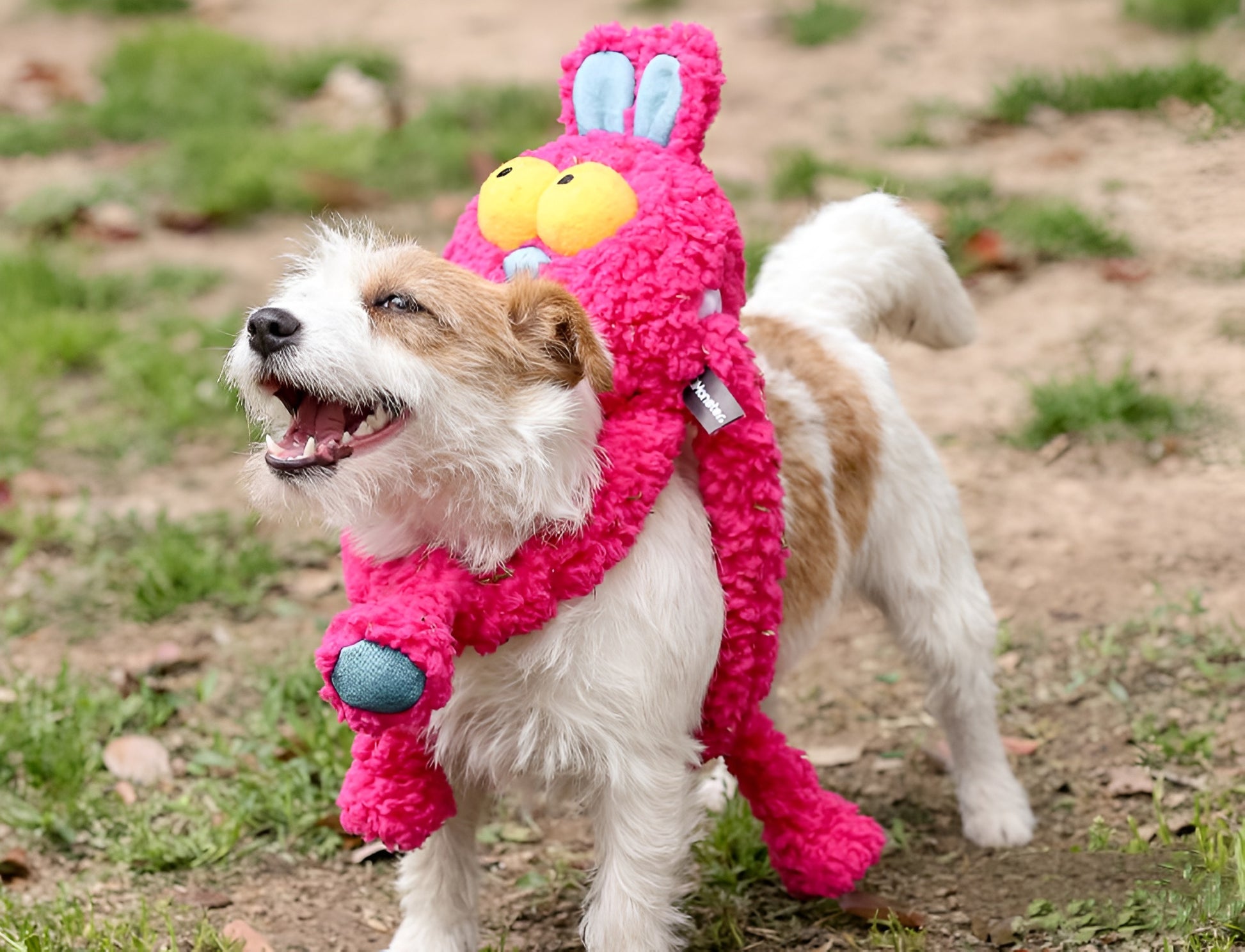 Bunny Plush Dog Toy – Extra-Long, Squeaky & Fun - Monster Collection