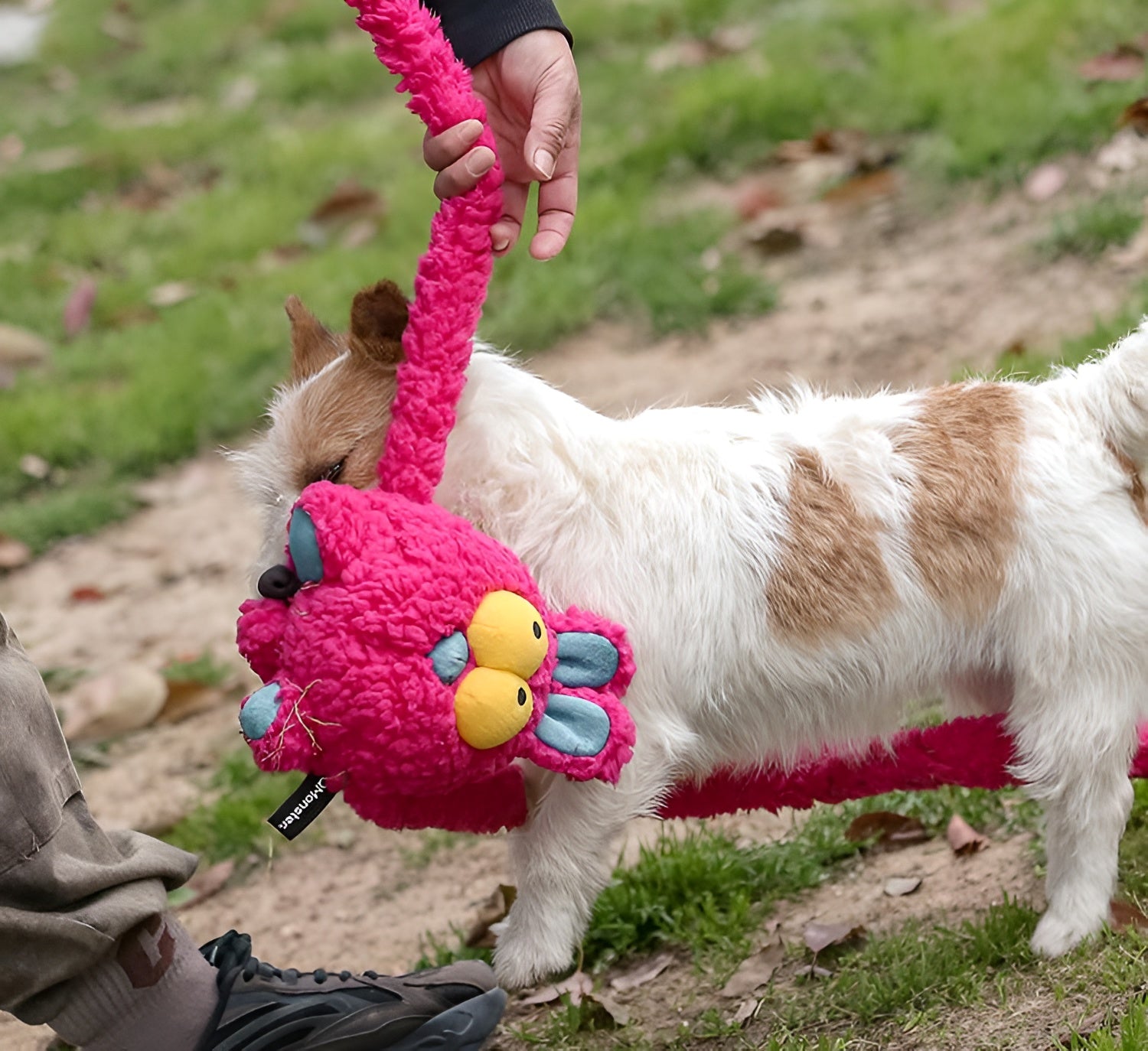 Bunny Plush Dog Toy – Extra-Long, Squeaky & Fun - Monster Collection