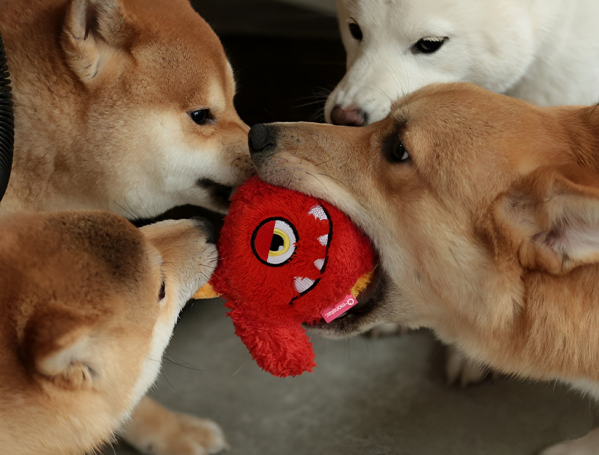 Plush Monster Dog Toy – Soft, Colorful & Durable Playmate