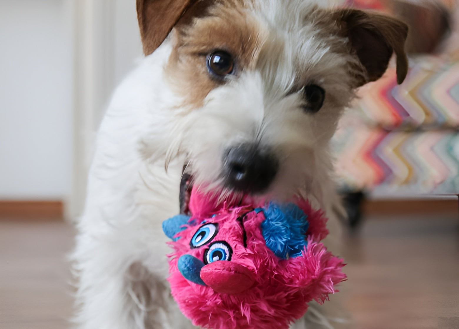 Plush Monster Dog Toy – Soft, Colorful & Durable Playmate