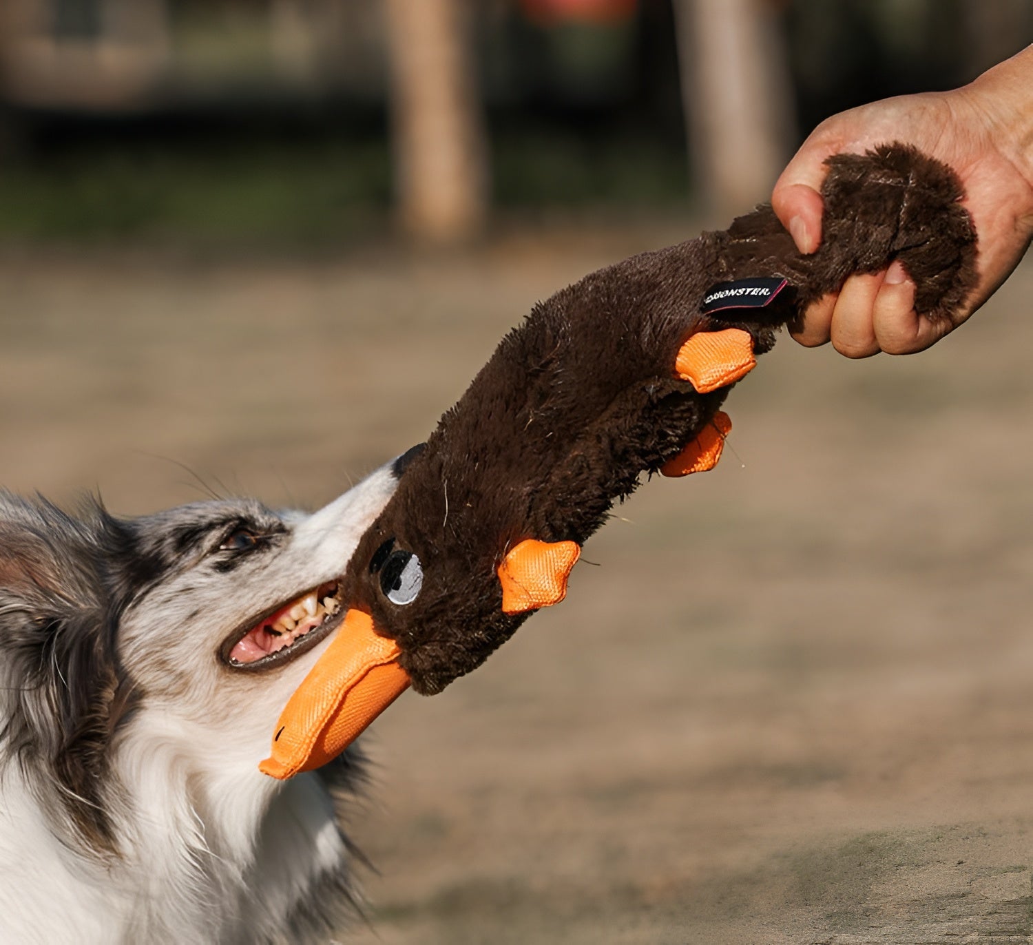 Plush Platypus Dog Toy – Squeaky, Soft & Fun!