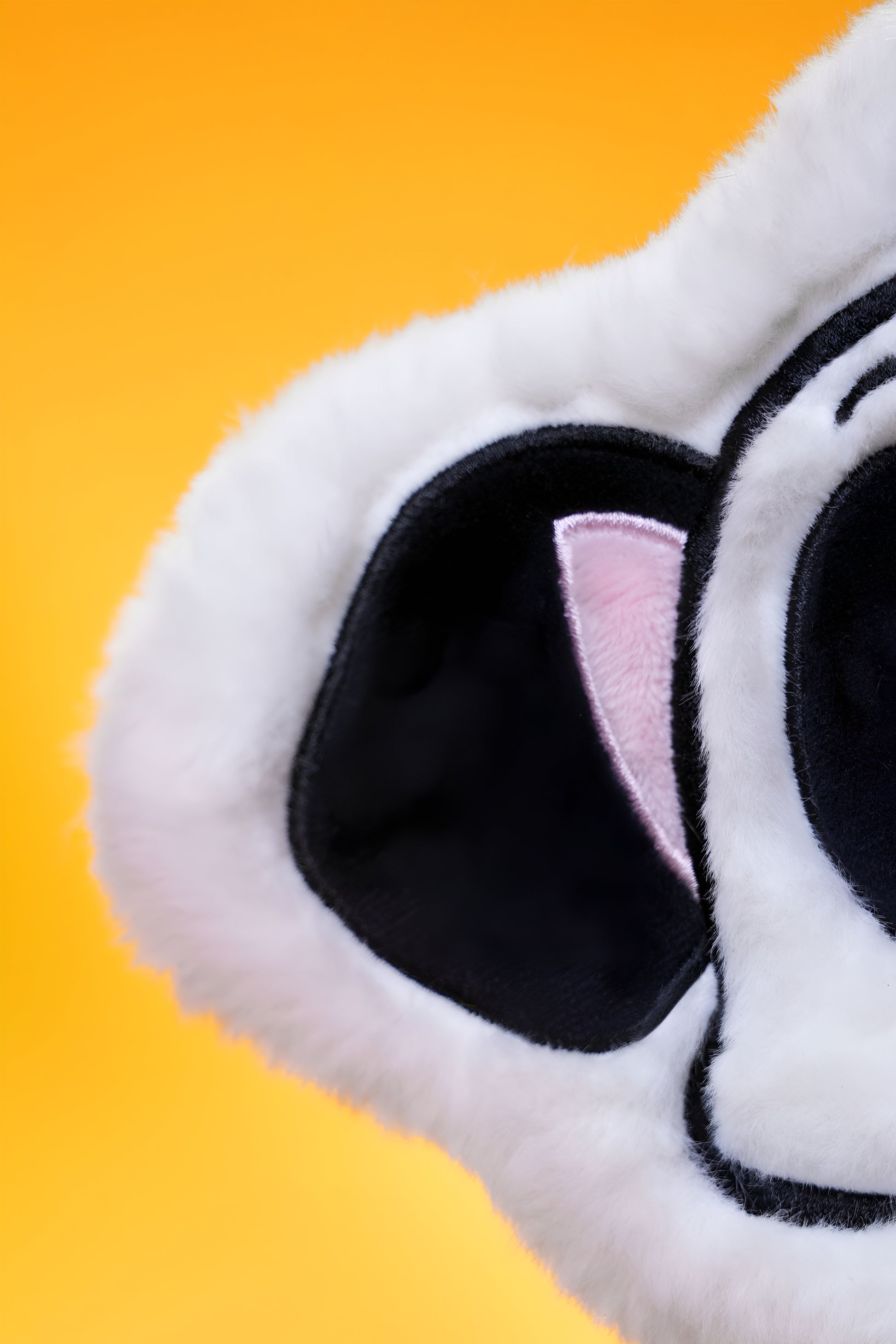 Puppy Bone Crinkle Toy! 🦴🐶