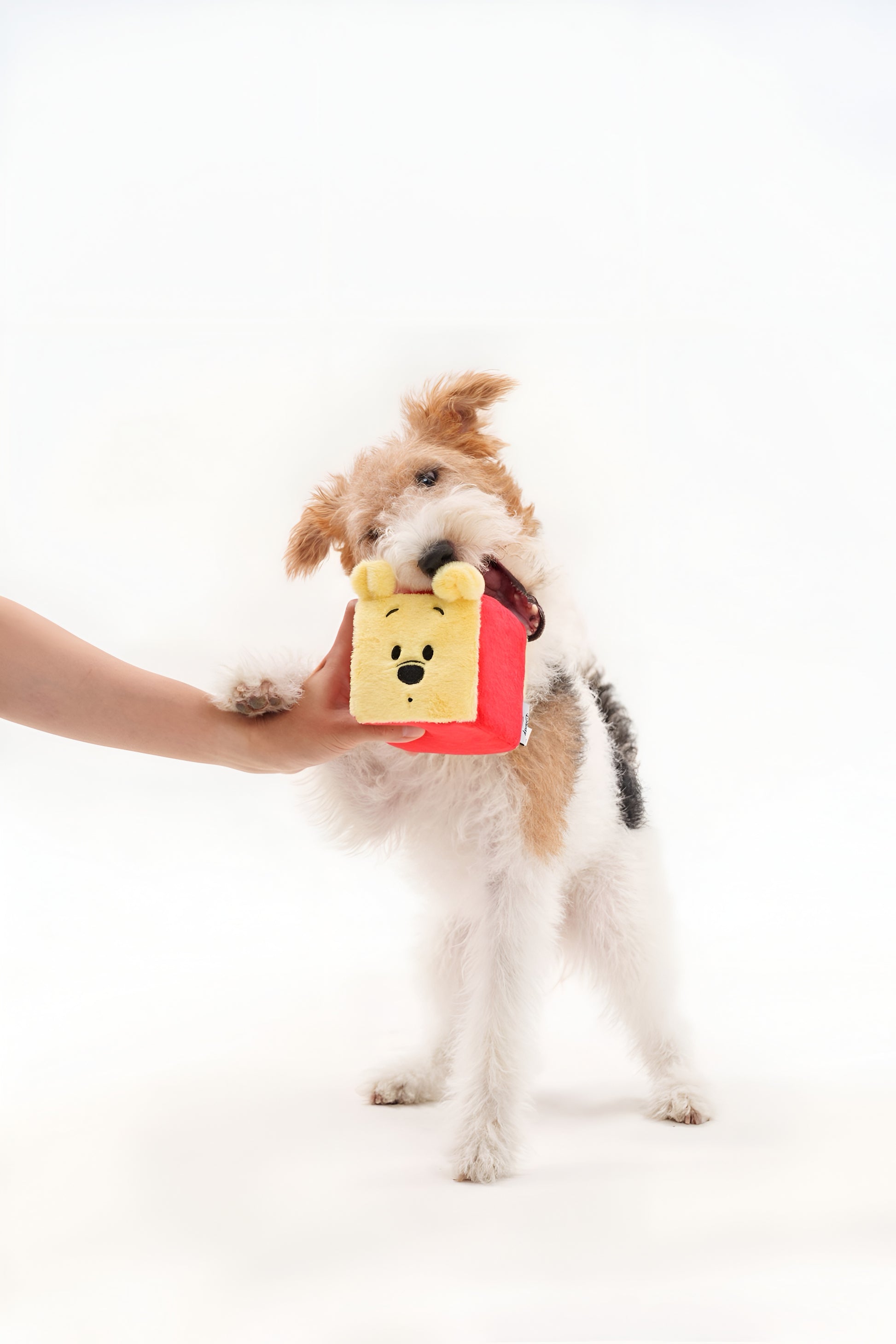 Winnie the Pooh Brick – Plush Dog Toy with Crinkle Paper