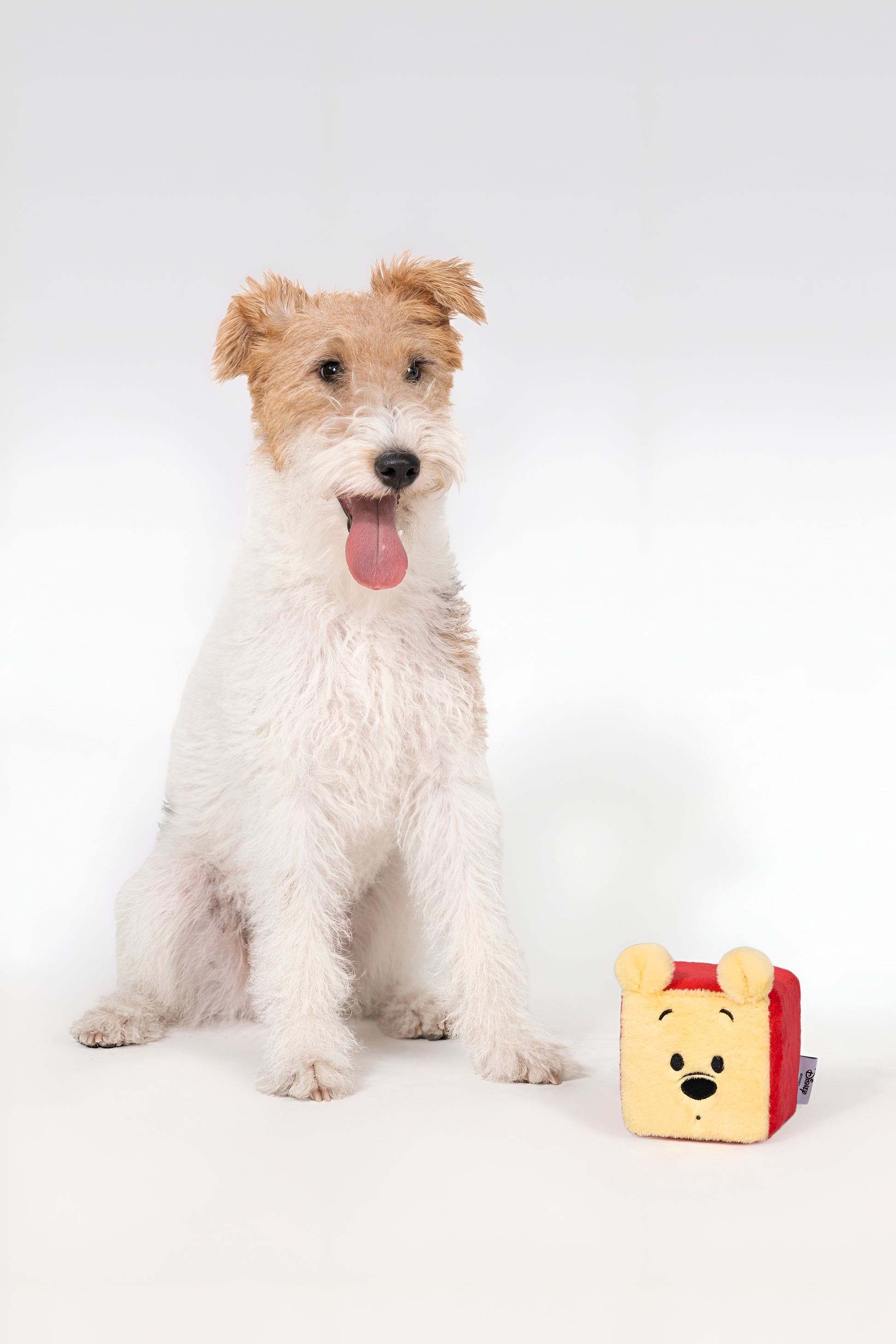 Winnie the Pooh Brick – Plush Dog Toy with Crinkle Paper