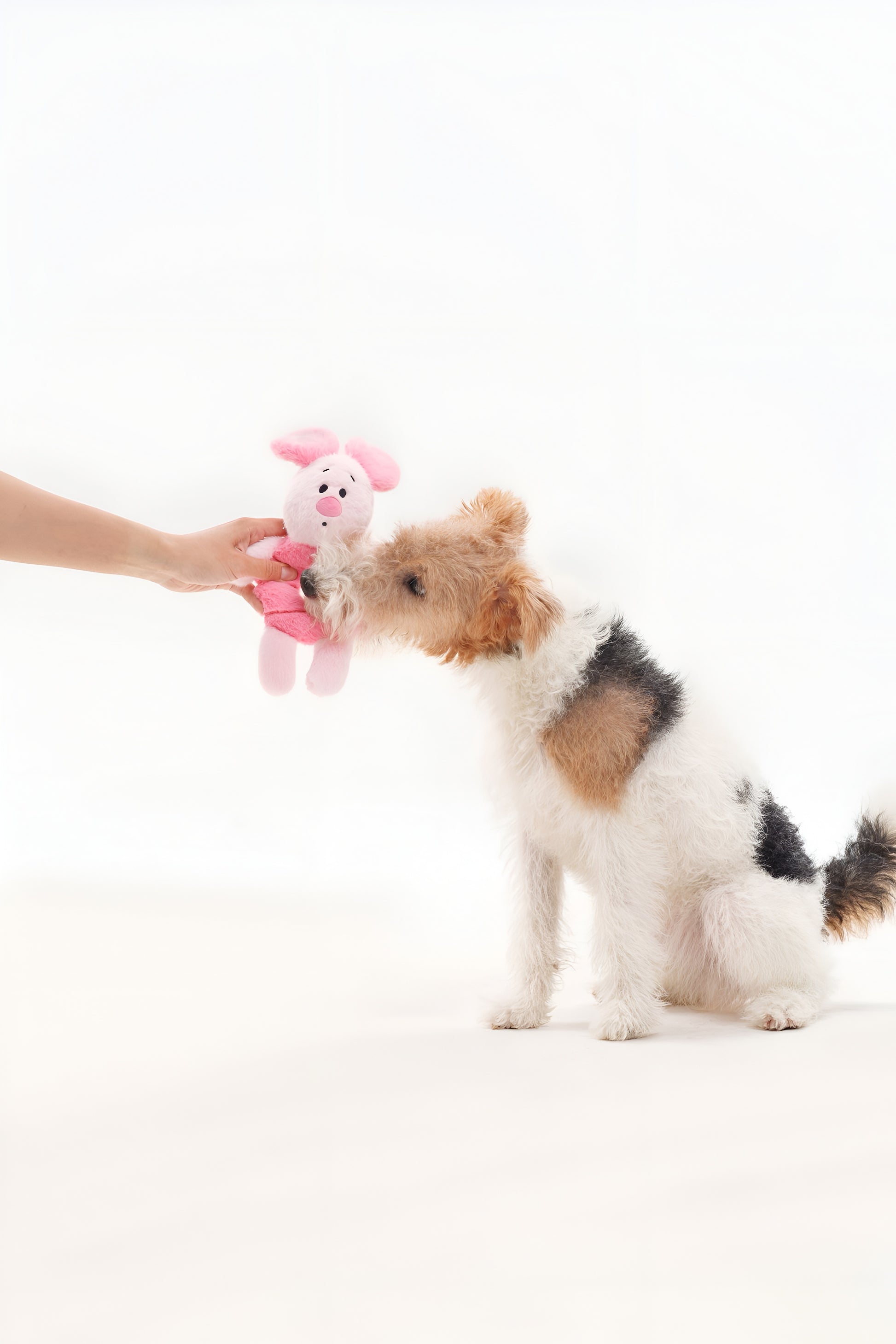 Piglet Ring Tug - Plush Chew Ring | Cute Squeaky Pull Toy for Dogs