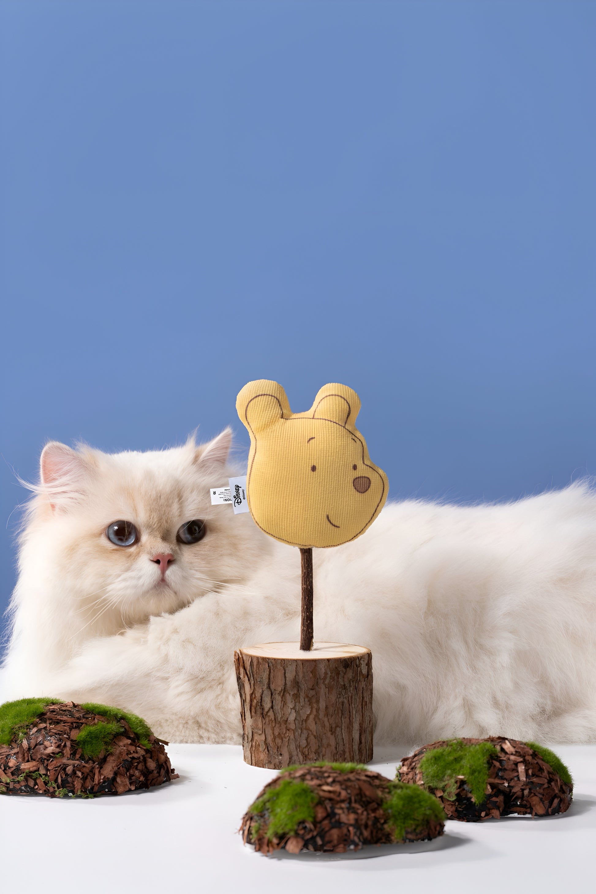 🍯 Pooh Catnip Toy – Sweet, Soft & Simply Irresistible! 🐾
