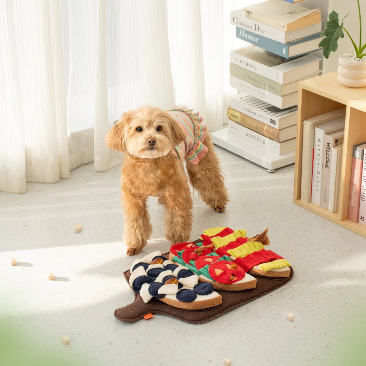 Bruschetta Snuffle Mat β Tasty Foraging for Foodie Pups