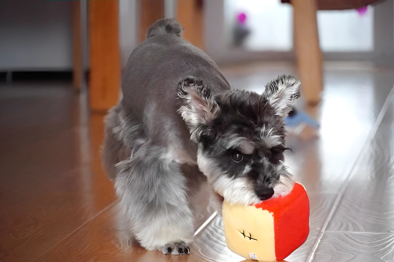 Winnie the Pooh Brick – Plush Dog Toy with Crinkle Paper