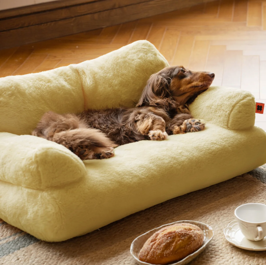 Plush Sofa Beds for Cats & Small Dogs