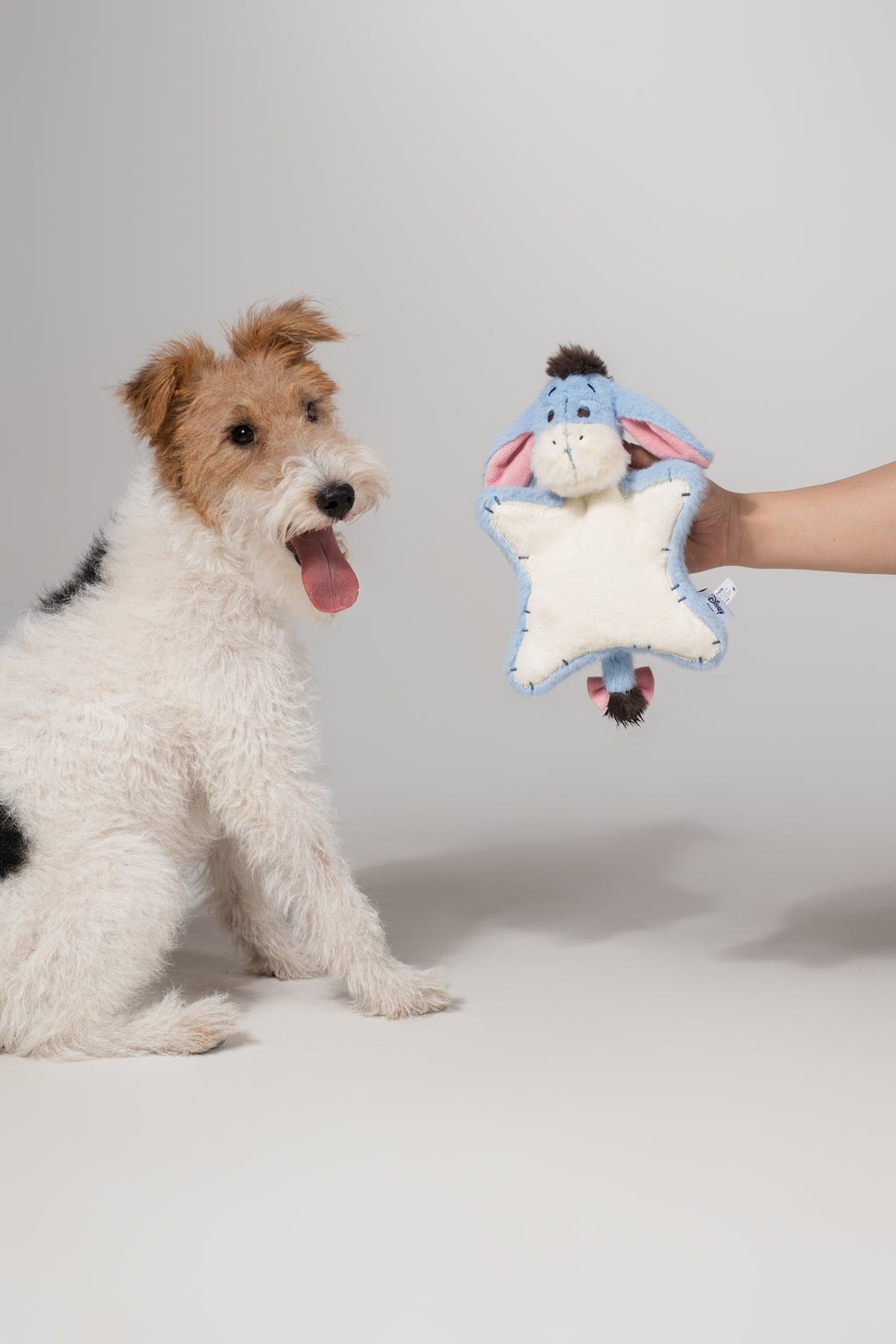 Eeyore Flat Plush – Plush Dog Toy with Crinkle Paper