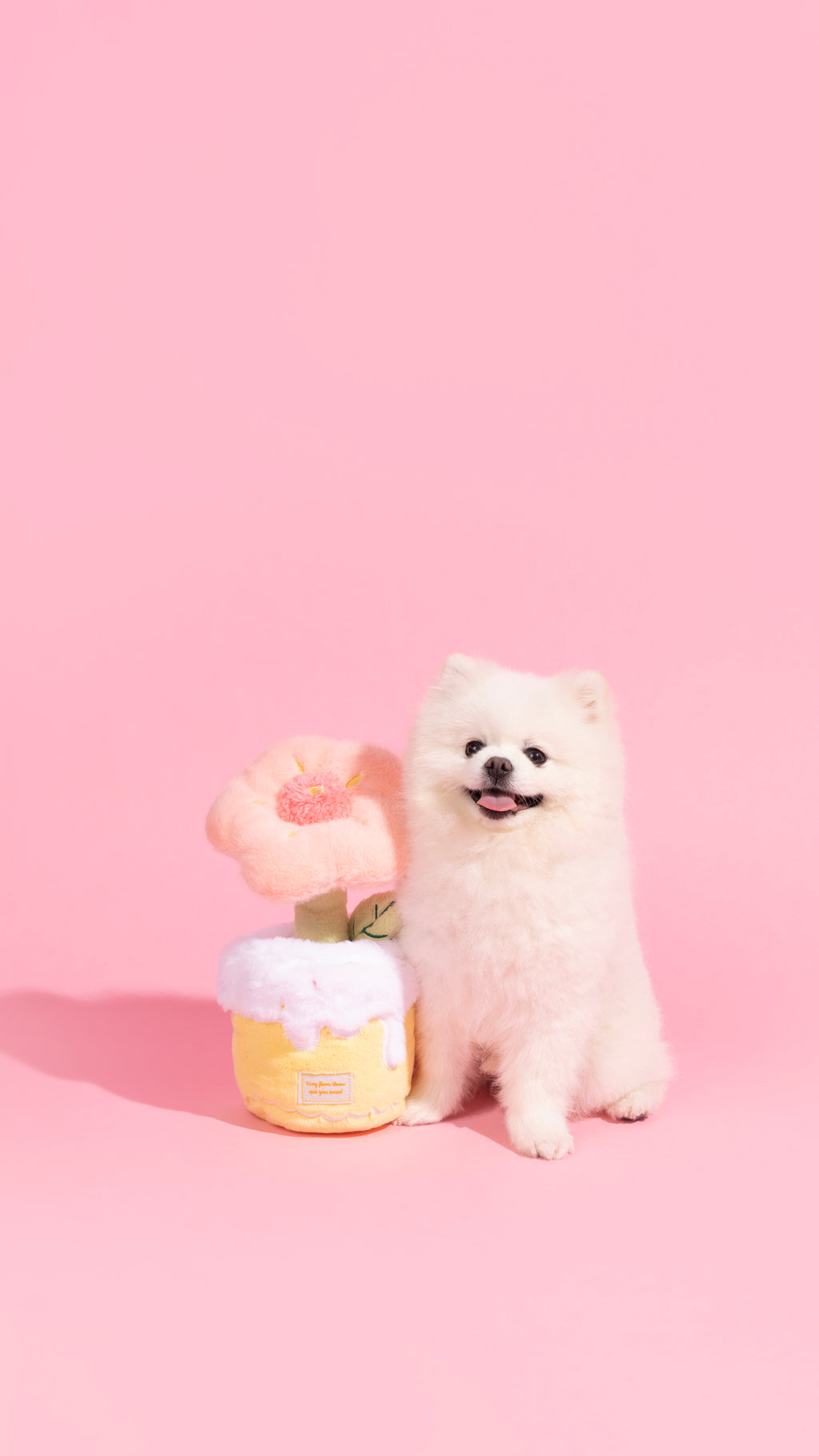🌸 Peach Flower Plush Dog Toy – Squeaky & Crinkly Petal Fun! 🐾