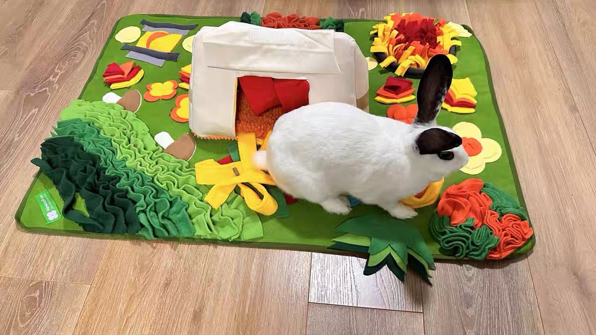 Camping Adventure Snuffle Mat – Large Picnic Enrichment Rug