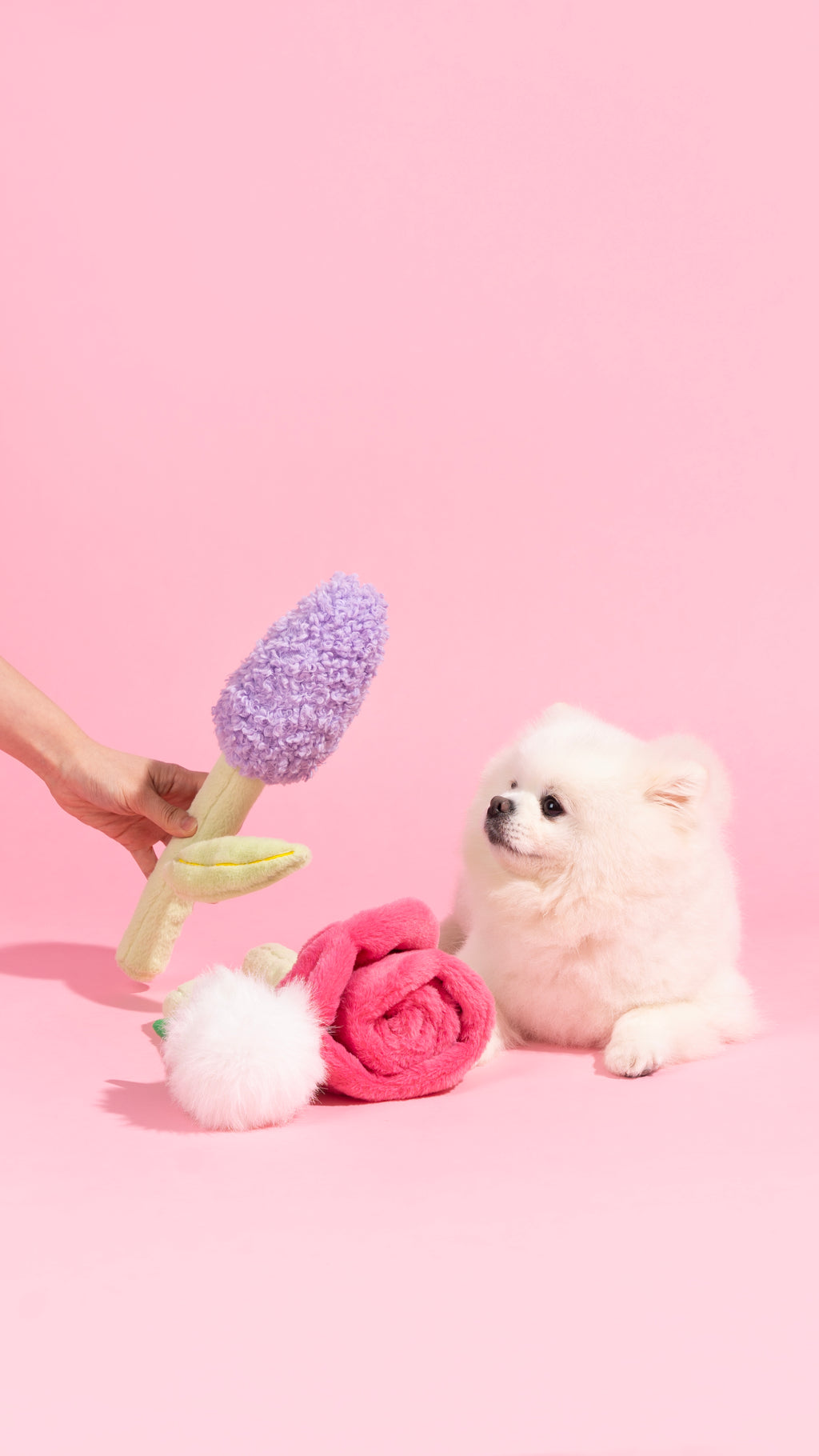 ☁️ Dandelion Plush Dog Toy – Fun Squeaky Sound for Playful Pups! 🐾