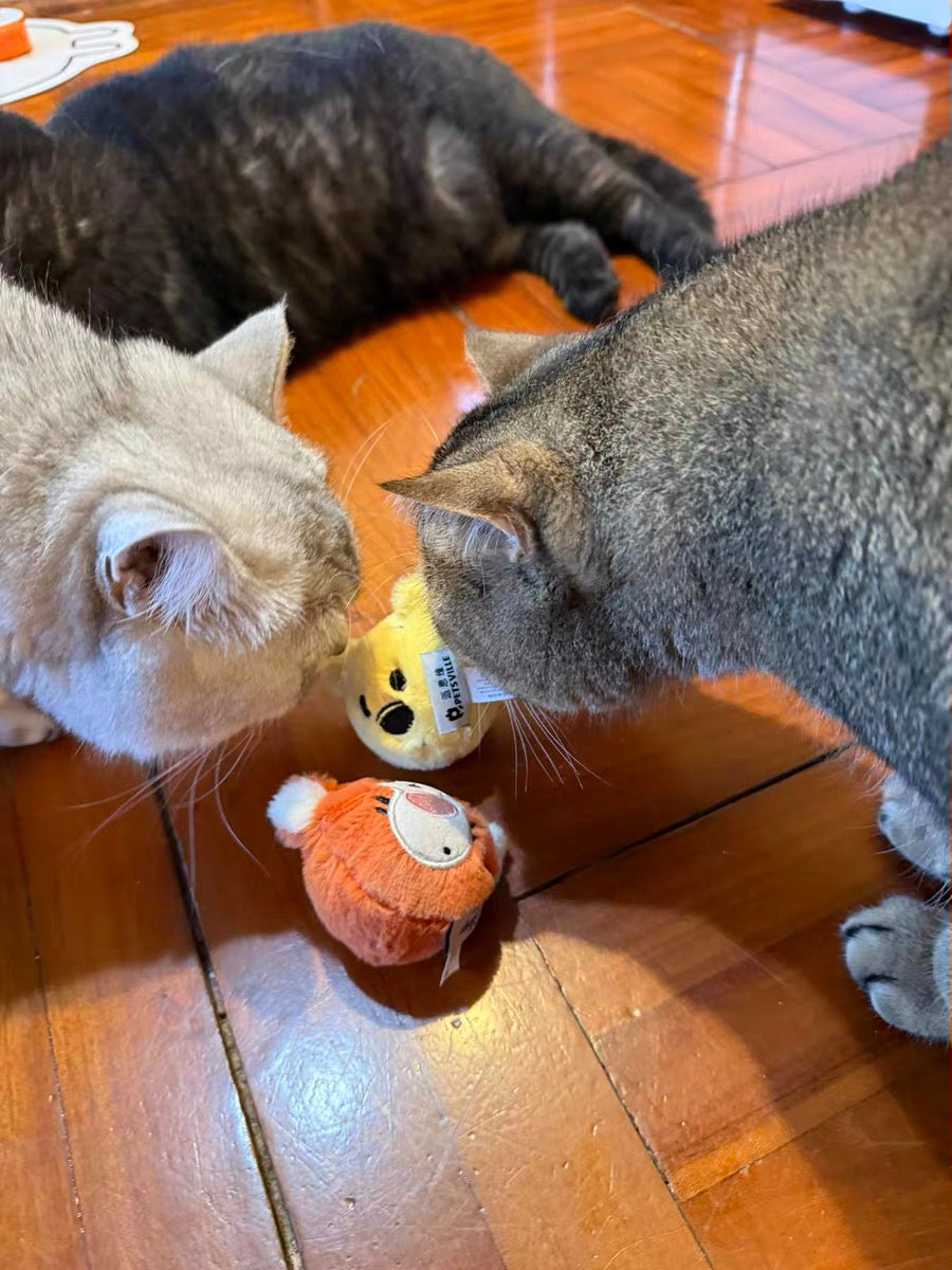 Disney Tigger Cat Toy Ball – Bounce, Chase & Endless Fun