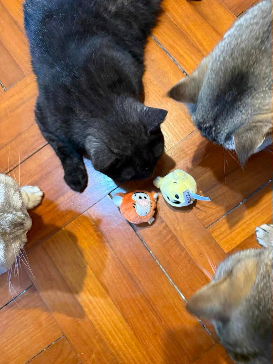 Disney Tigger Cat Toy Ball – Bounce, Chase & Endless Fun