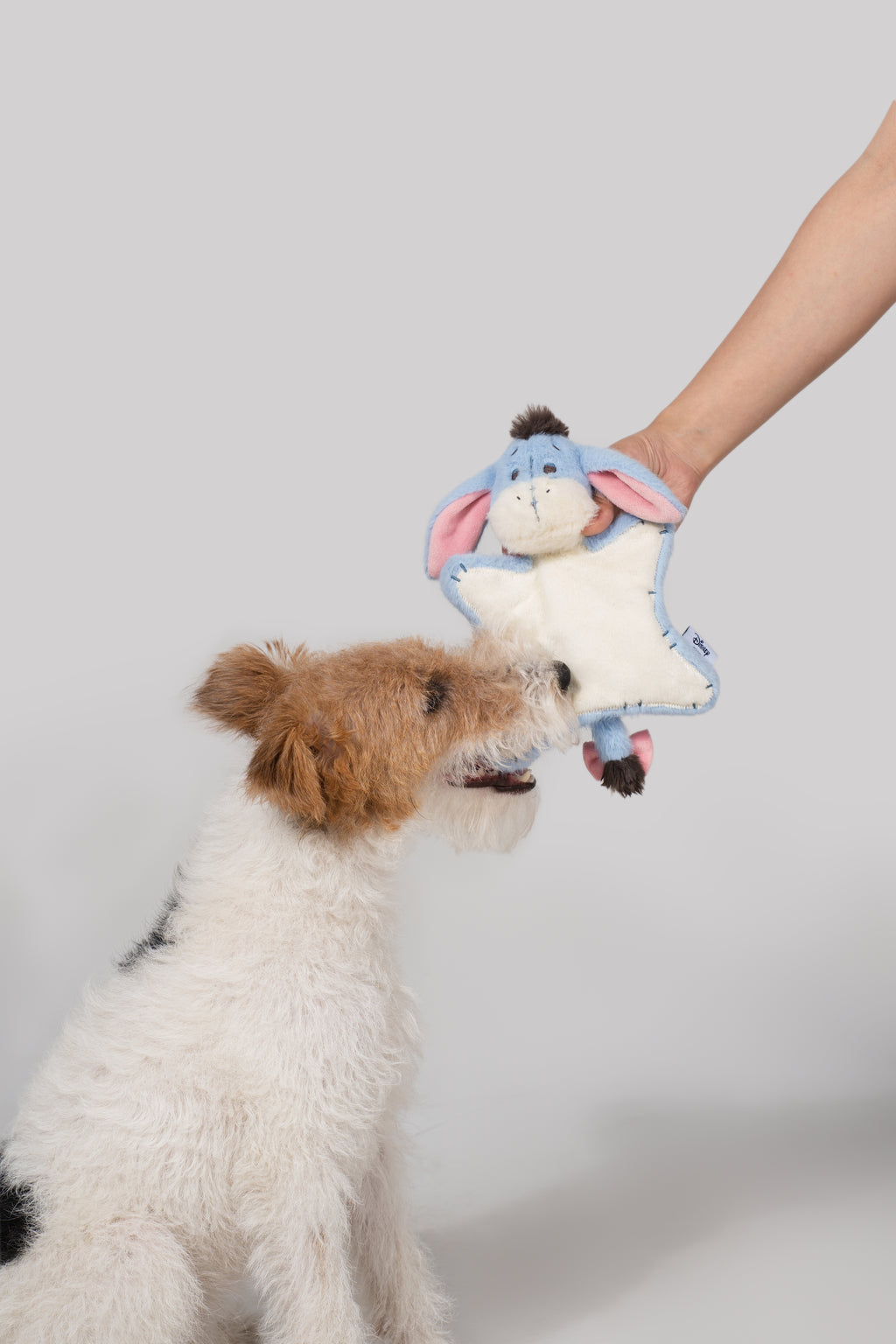 Eeyore Flat Plush – Plush Dog Toy with Crinkle Paper