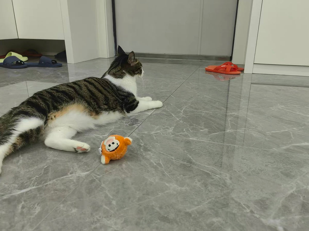 Disney Tigger Cat Toy Ball – Bounce, Chase & Endless Fun