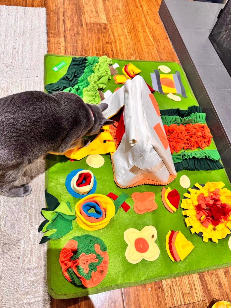 Camping Adventure Snuffle Mat – Large Picnic Enrichment Rug