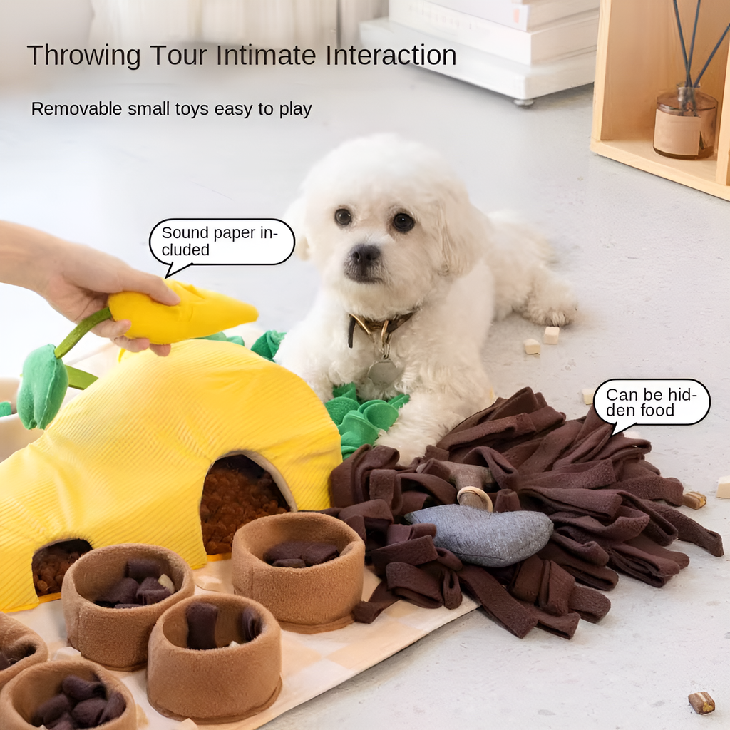 Farmyard Snuffle Mat for Dogs – Forage, Train & Slow Feed