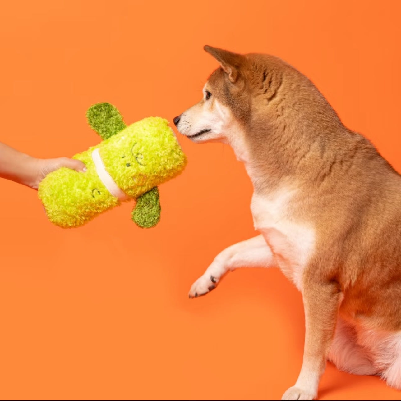 Plushy Veggie Squeaky Dog Toy