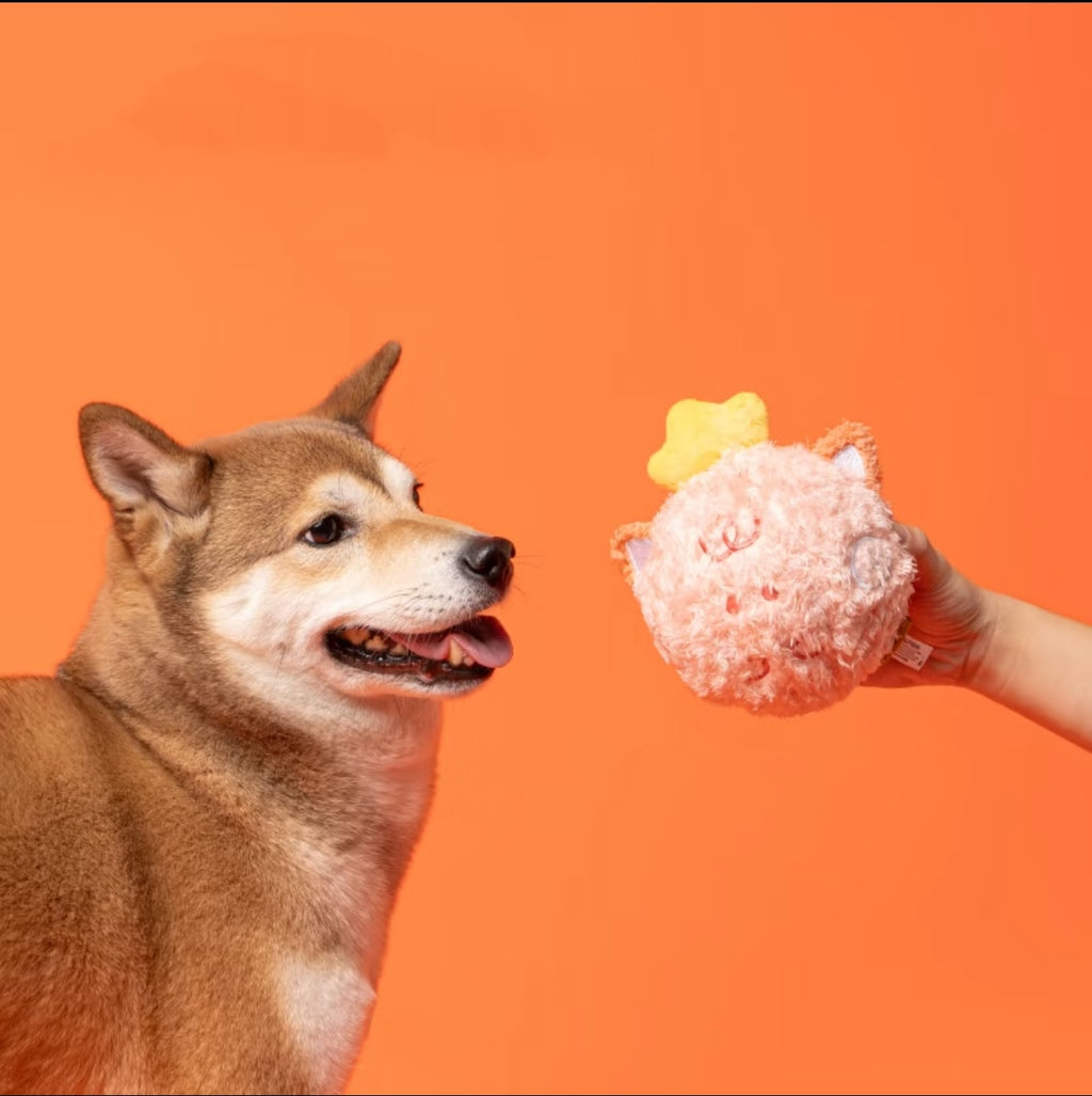 Plushy Cactus Bounce Ball – Squeaky, Bouncy & Adorably Spiky!