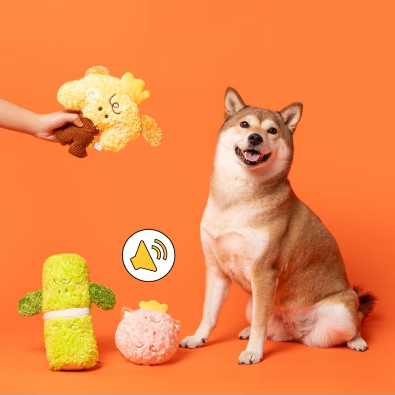Plushy Cactus Bounce Ball – Squeaky, Bouncy & Adorably Spiky!