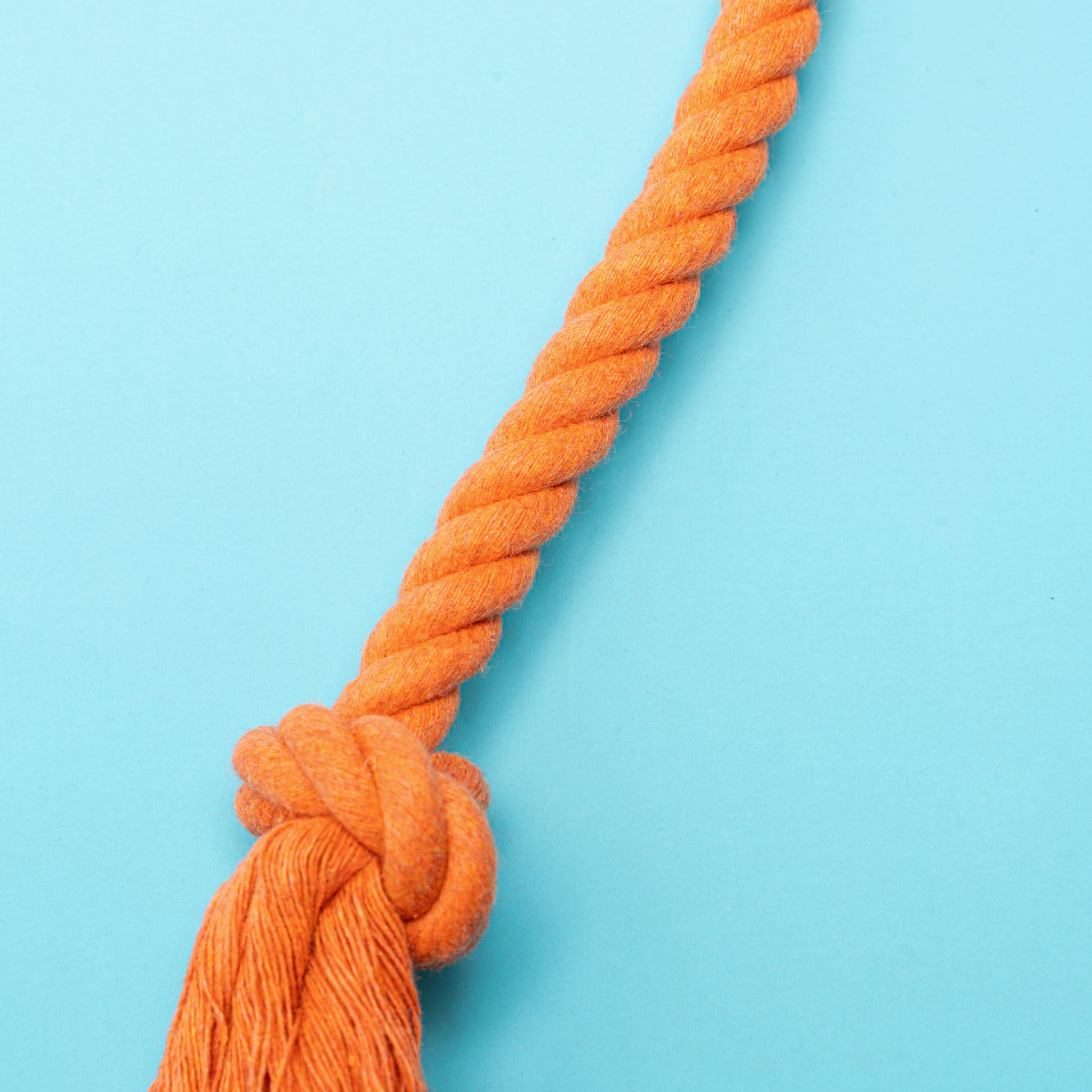 Garfield Popcorn Plush & Rope Toy