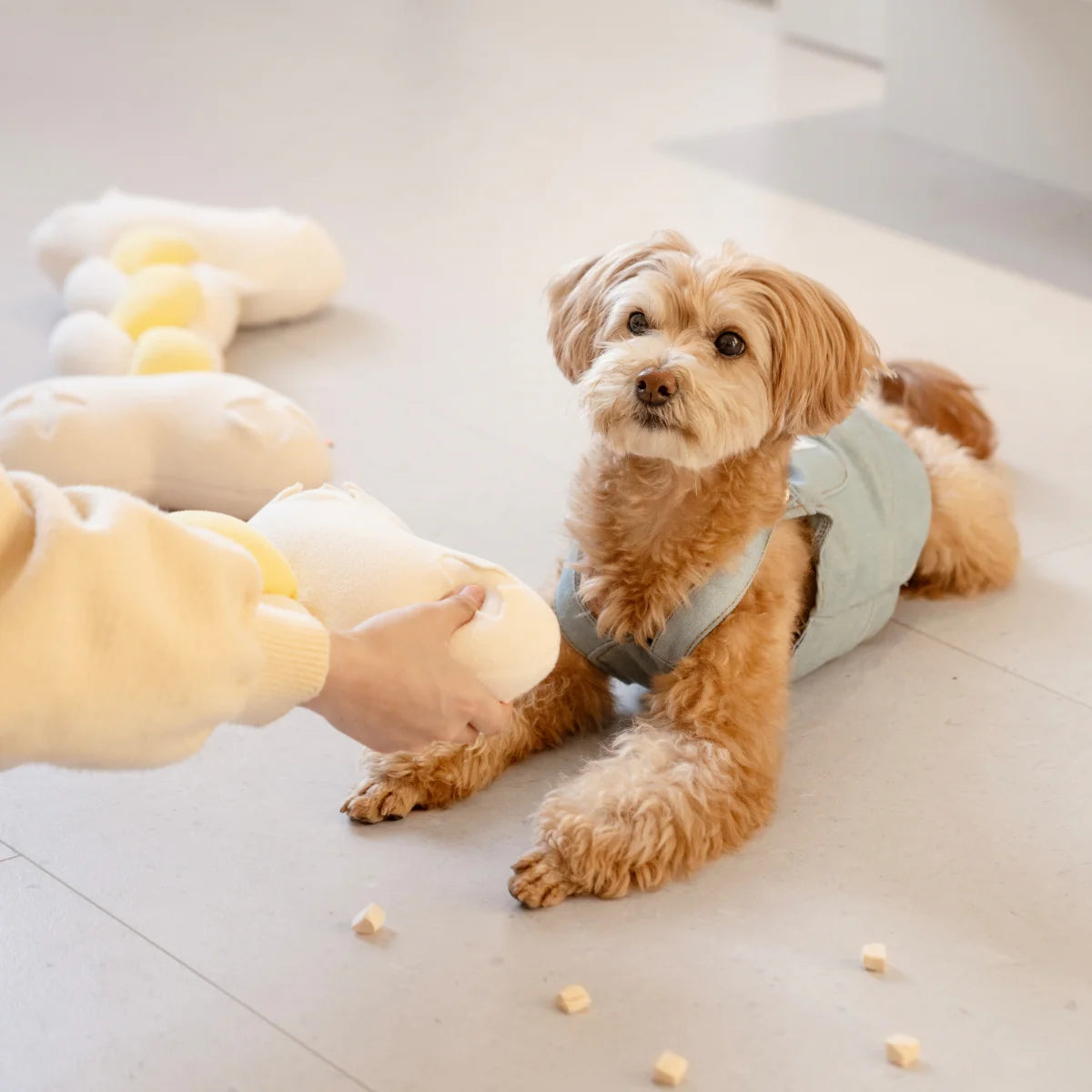 Squeaky Bone Snuffle Toy – Soft, Twisted & Treat-Filled
