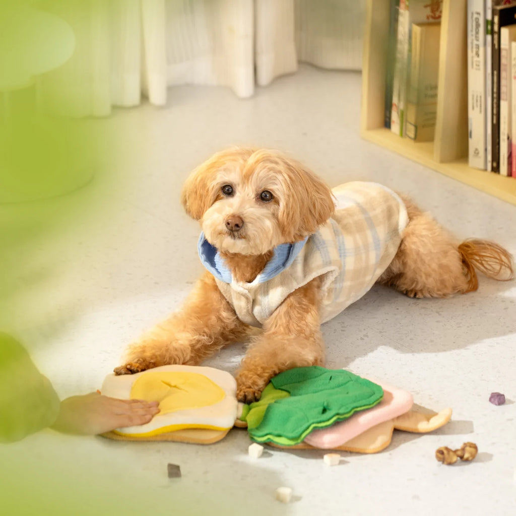 Sandwich Snuffle Toy – Multi-Layer Treat Puzzle for Dogs