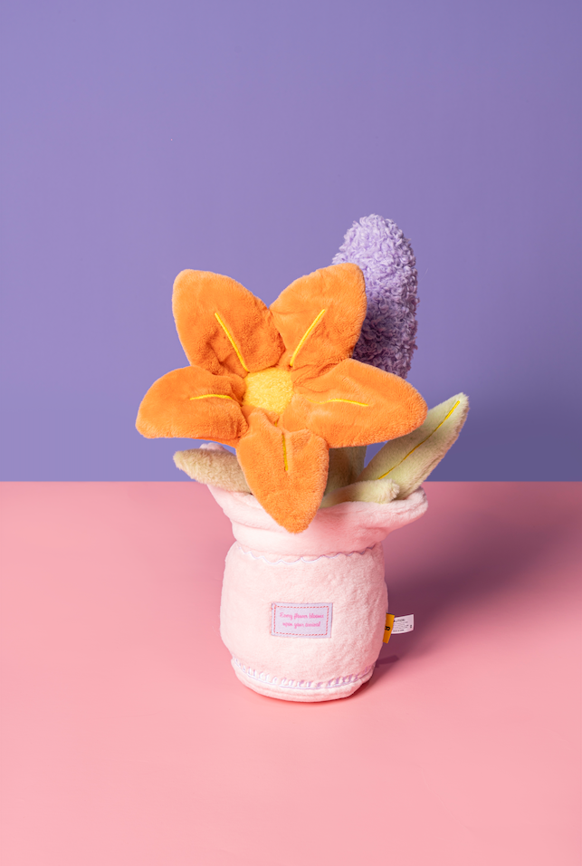 🌸 Dog Toy Flower Set – A Blooming Bundle of Joy! 🐾🌷
