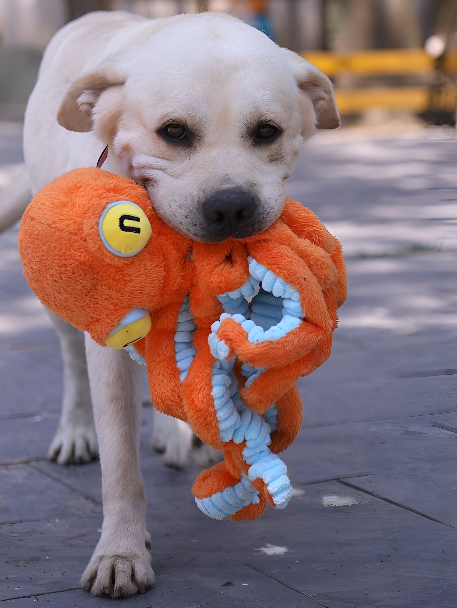 Octopus Plush Dog Toy – Squeaky Head &amp; Elastic-Band Legs for Interactive Fun!