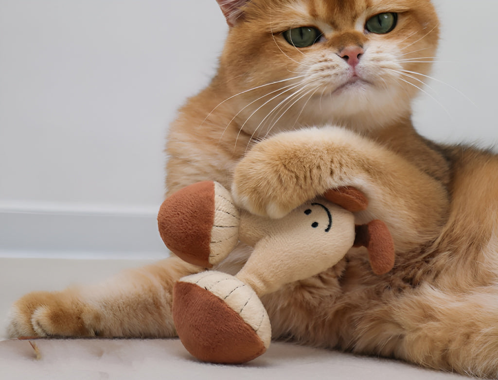 Cat Vegetable Plush Toy – Mushroom Design with Catnip